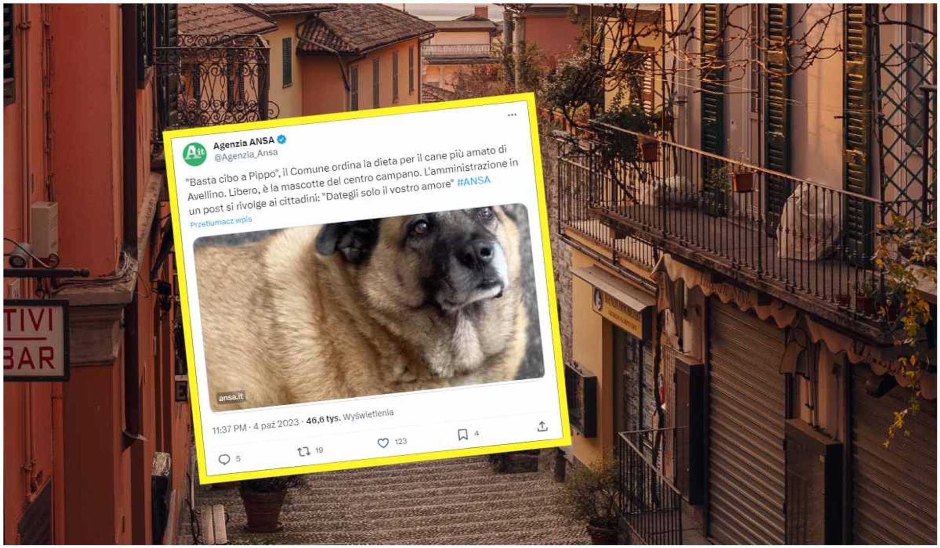 Pies maskotką włoskiego miasta