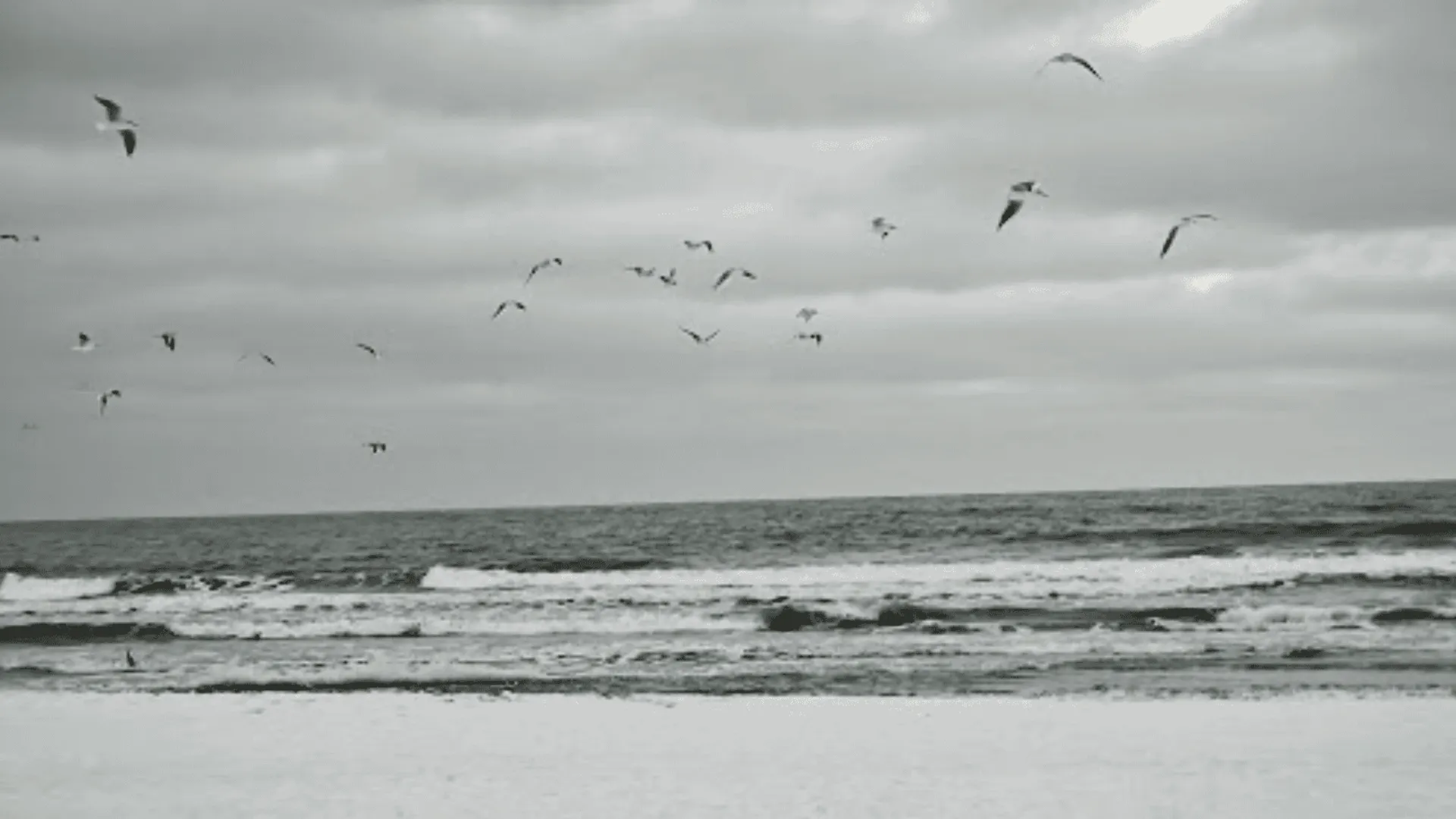 Niepokojące, co dzieje się na polskich plażach. Ludzie masowo łapią za telefony i alarmują służby