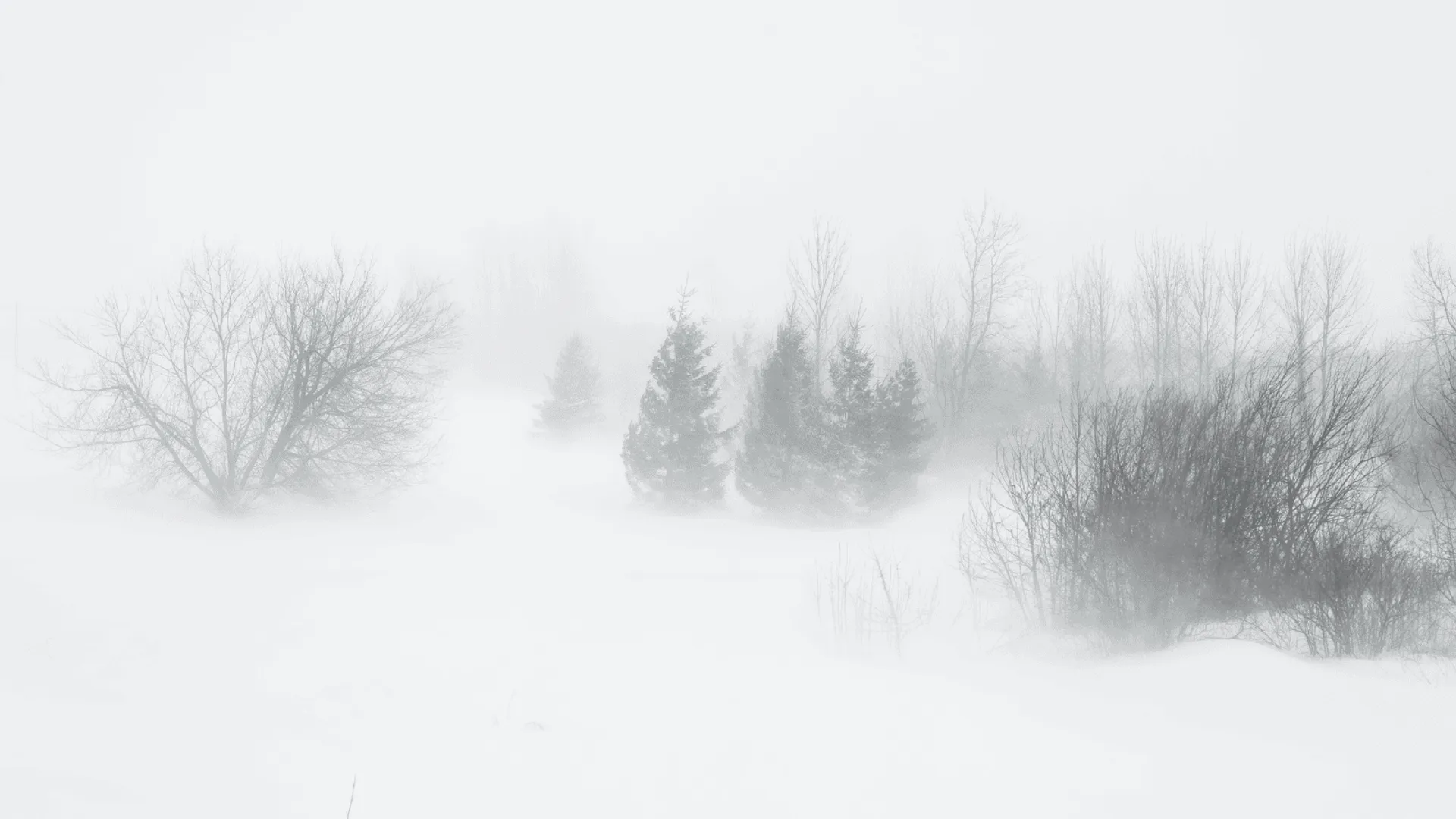 Silny wiatr i intensywne opady śniegu podczas załamania pogody