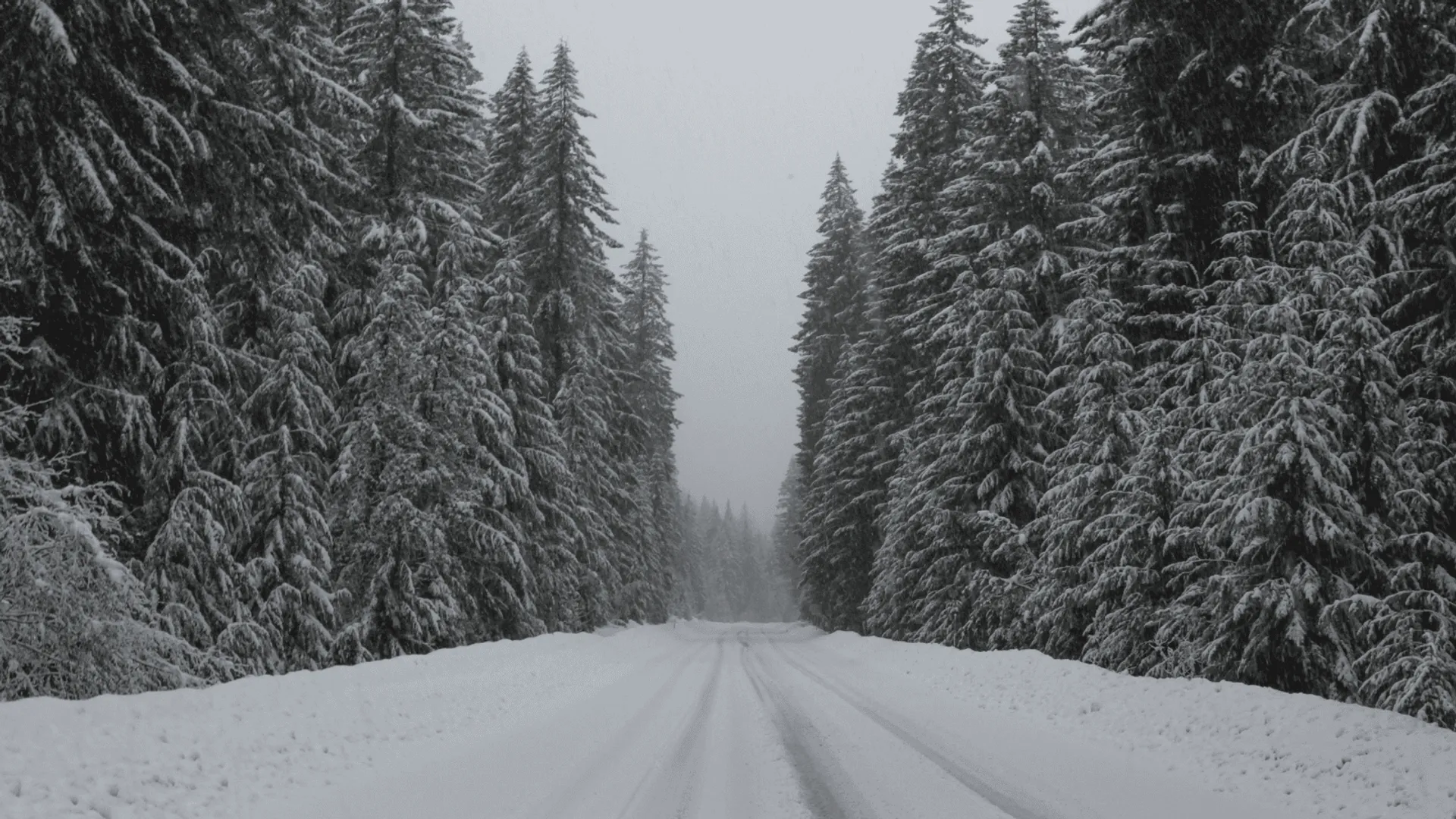 Intensywne opady śniegu i silny wiatr na północy Polski