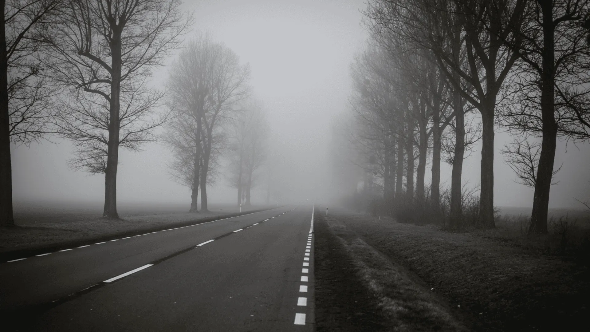 Mgła na drodze, fot. Canva