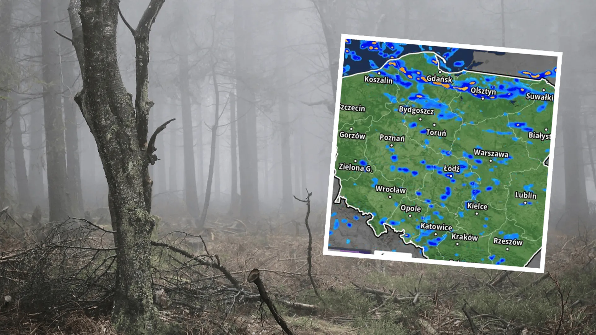 Pogoda, mapa Polski