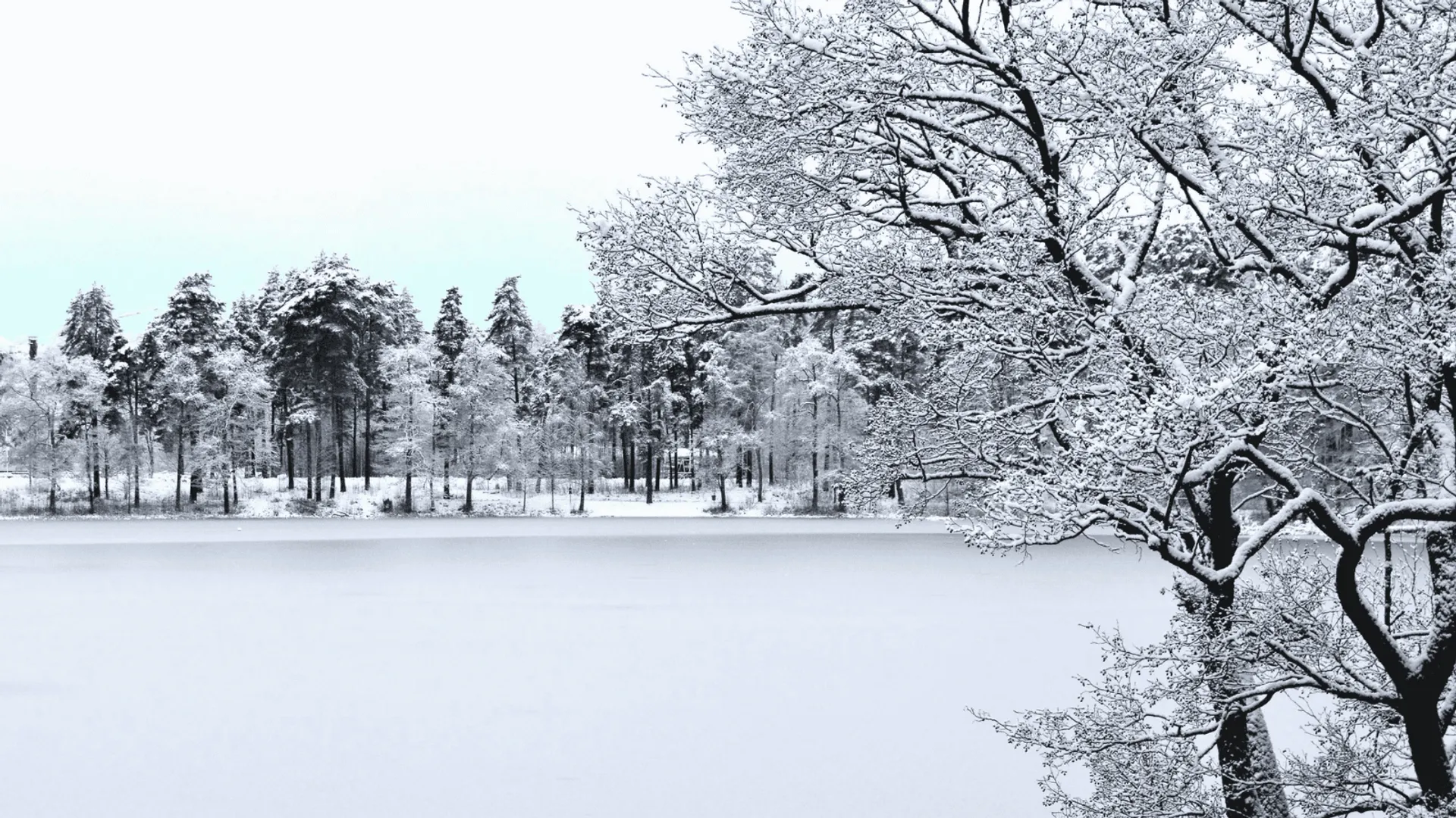 Pogoda na Sylwestra i Nowy Rok. Prognozy nie pozostawiają złudzeń