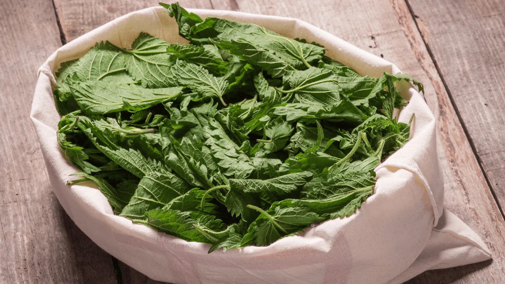 Sproszkowana pokrzywa – właściwości i zastosowanie w codziennej diecie