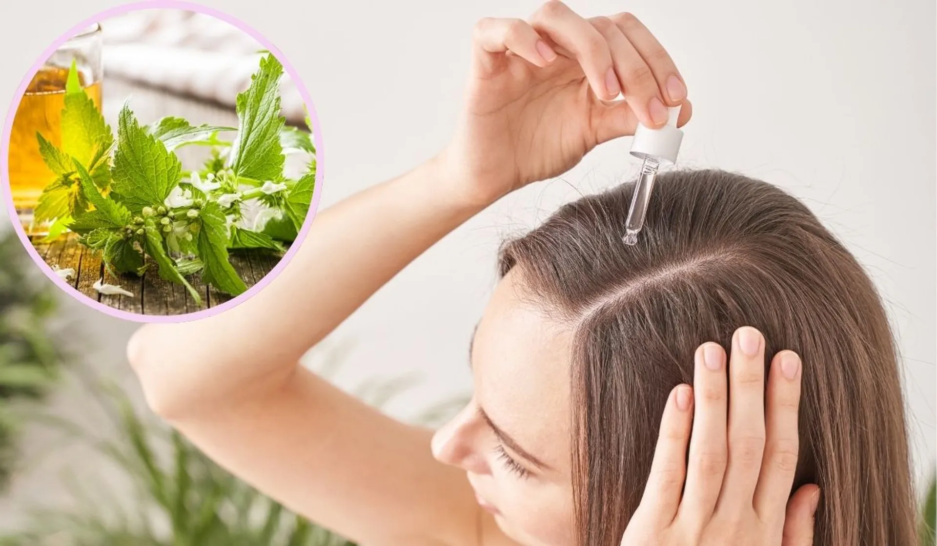 Czy pokrzywa działa na włosy? Nie zawsze to najlepsze rozwiązanie