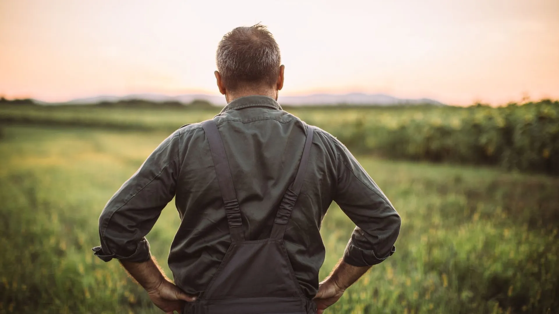 Masz więcej niż 75 hektarów? Uważaj na kontrole sprawozdań, pomyłka kosztuje nawet milion złotych