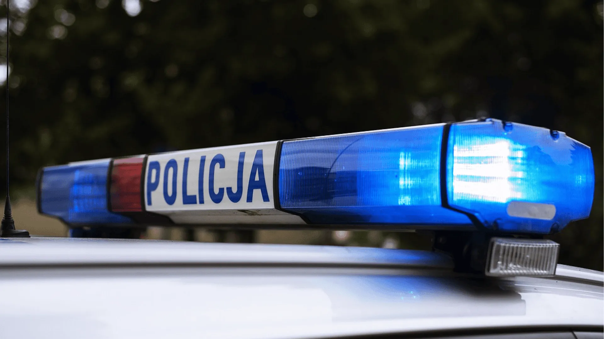 policja