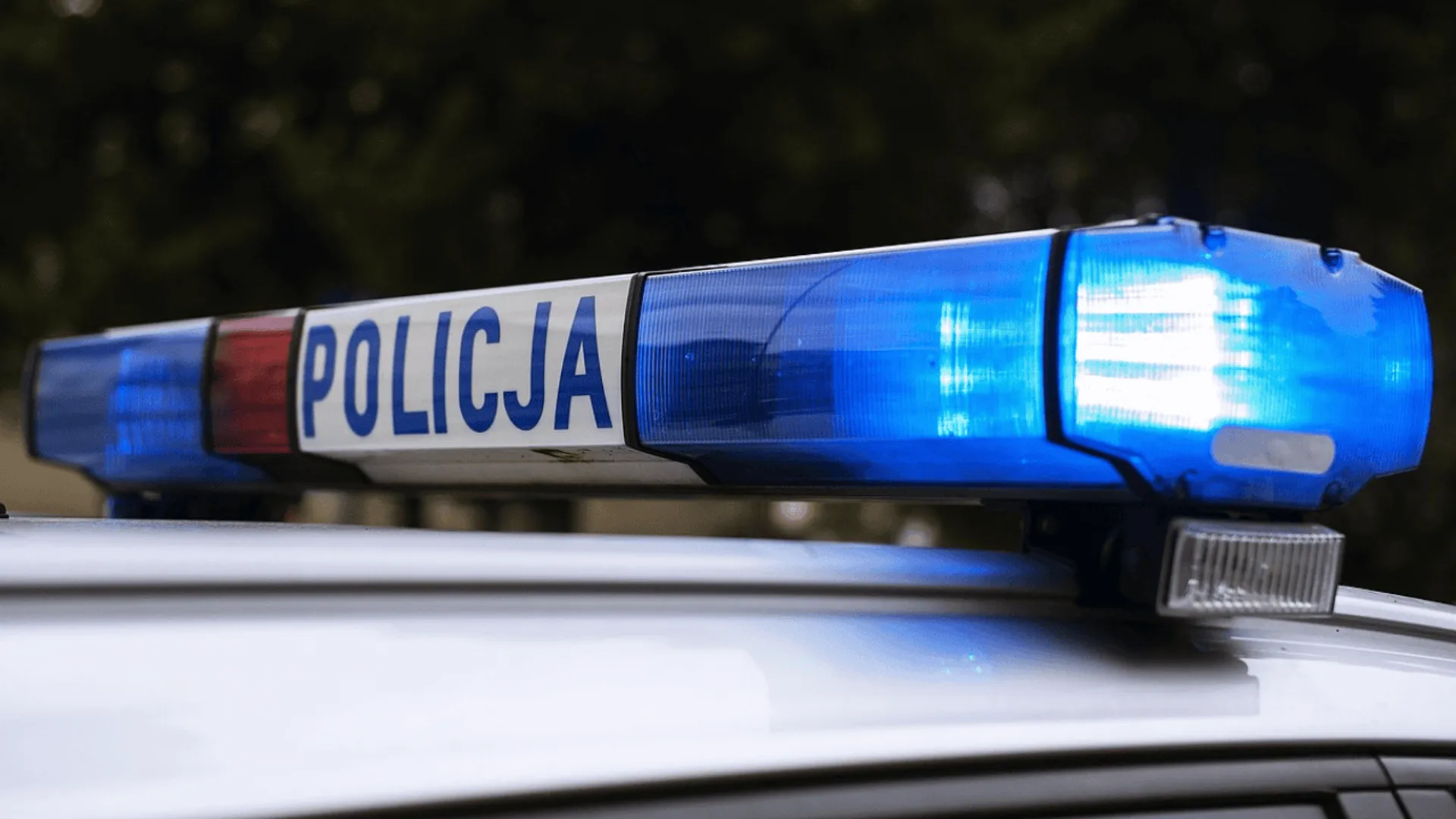 Policja