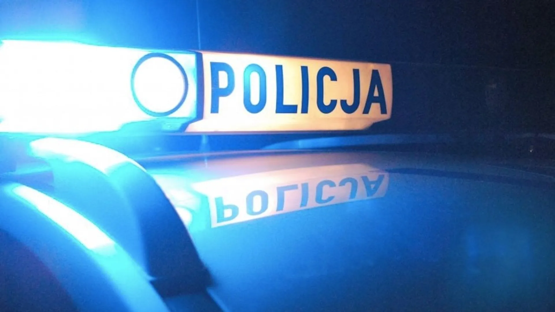 policja