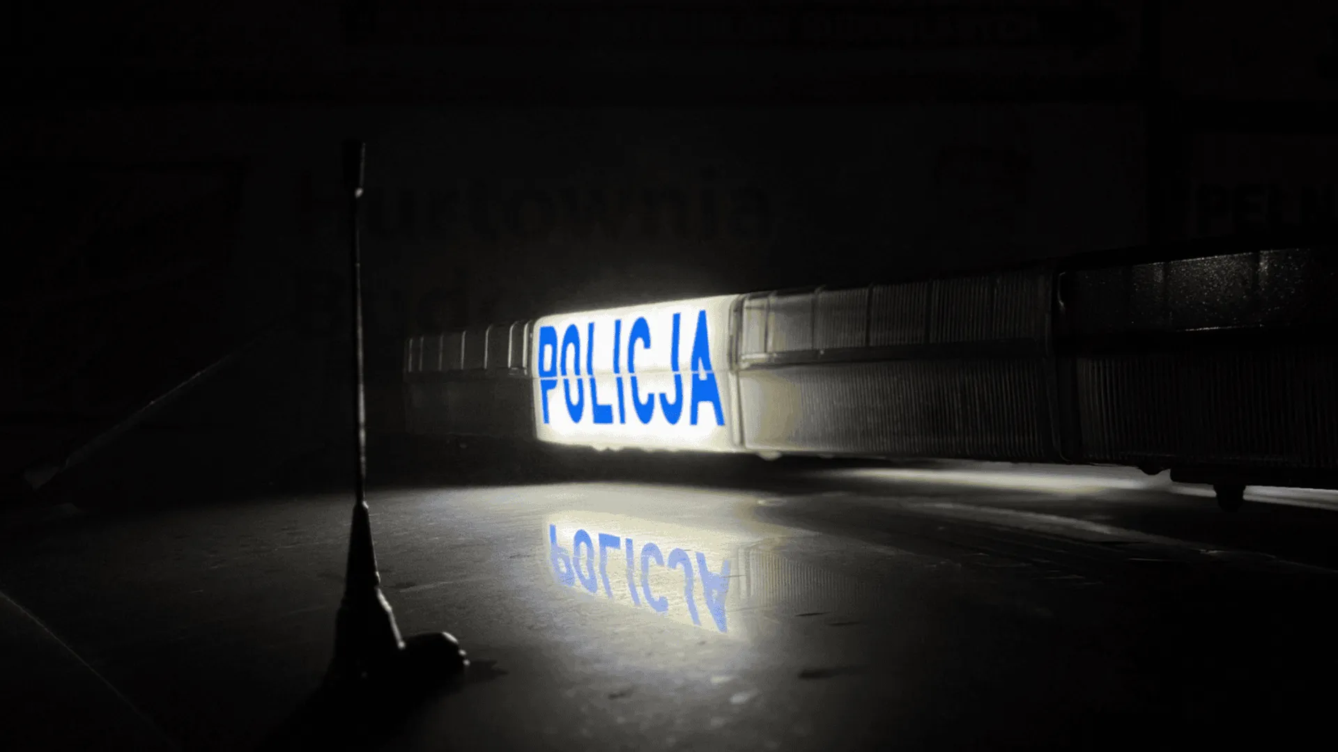 Zbliżenie na koguty policyjne.