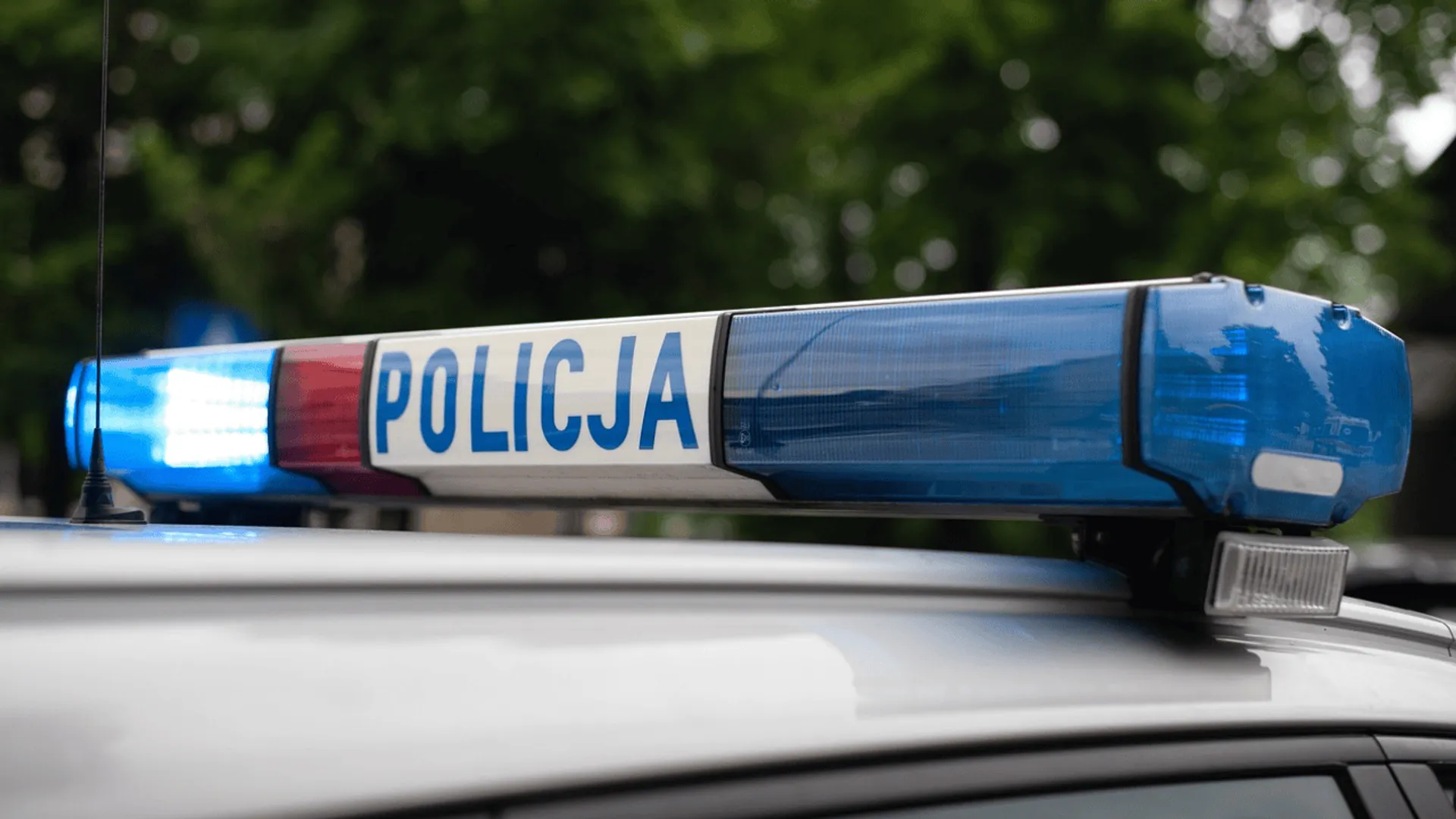 policja