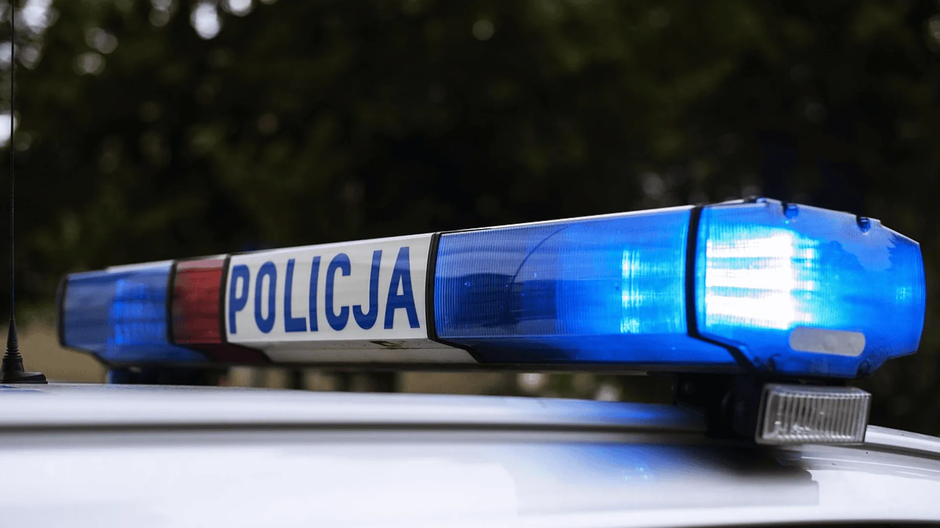 policja