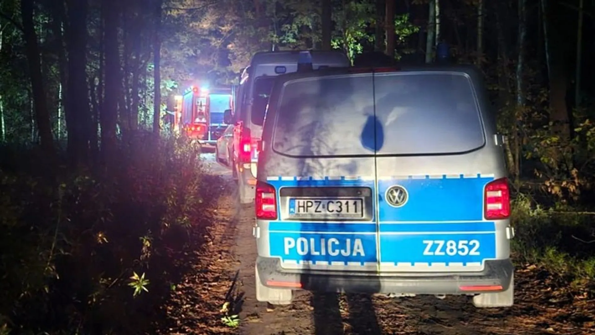 policja