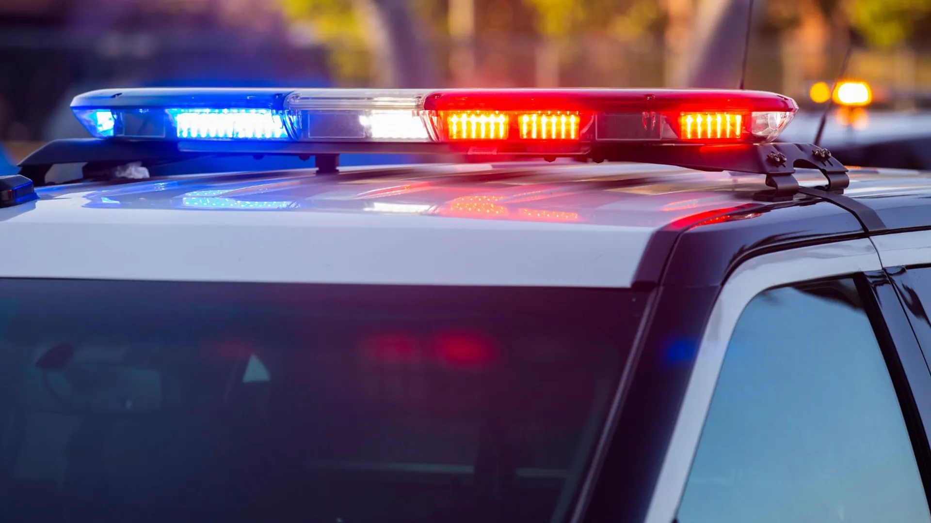 policja radiowóz