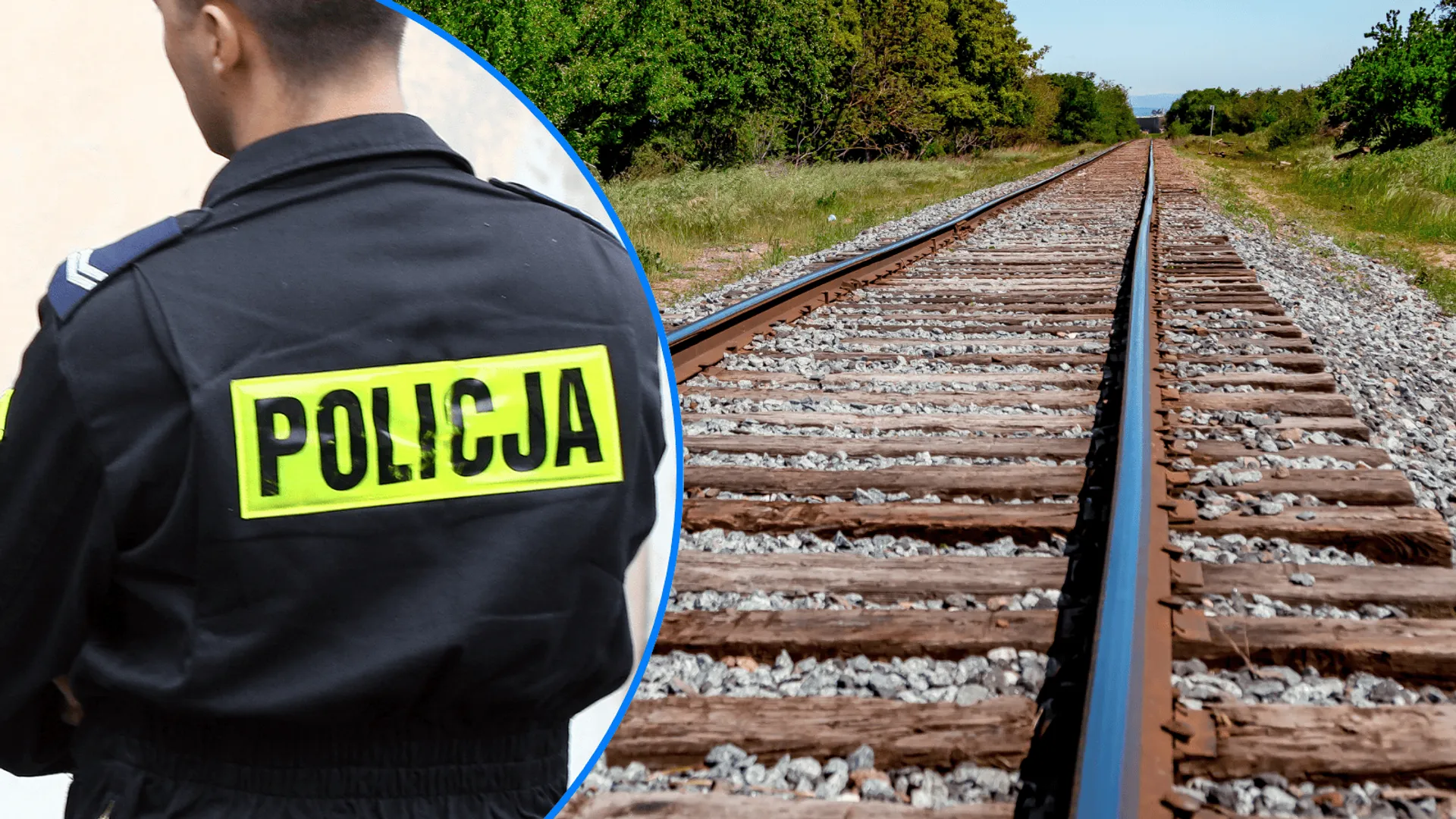 policja, tory