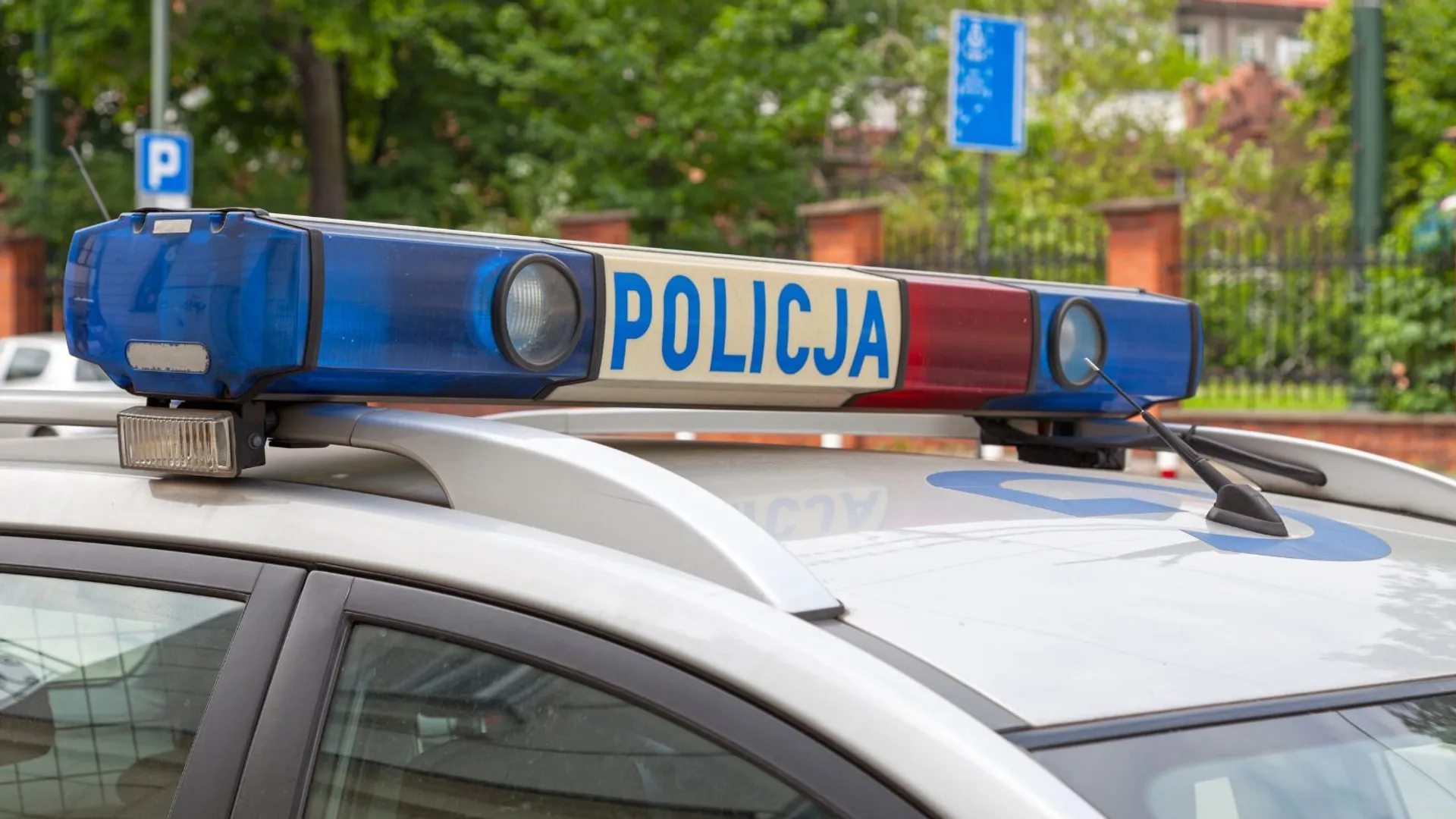 policja