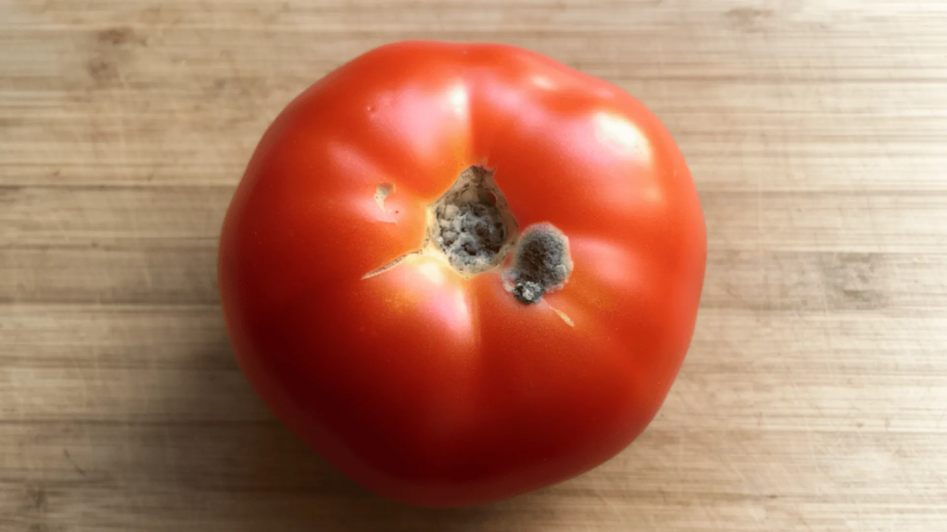 Zagrożenia zdrowotne wynikające ze spożycia zapleśniałej żywności