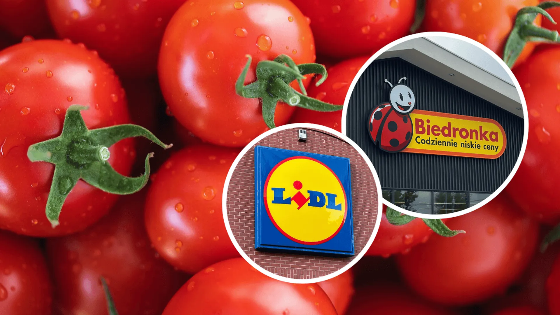 Pomidory, Biedronka, Lidl