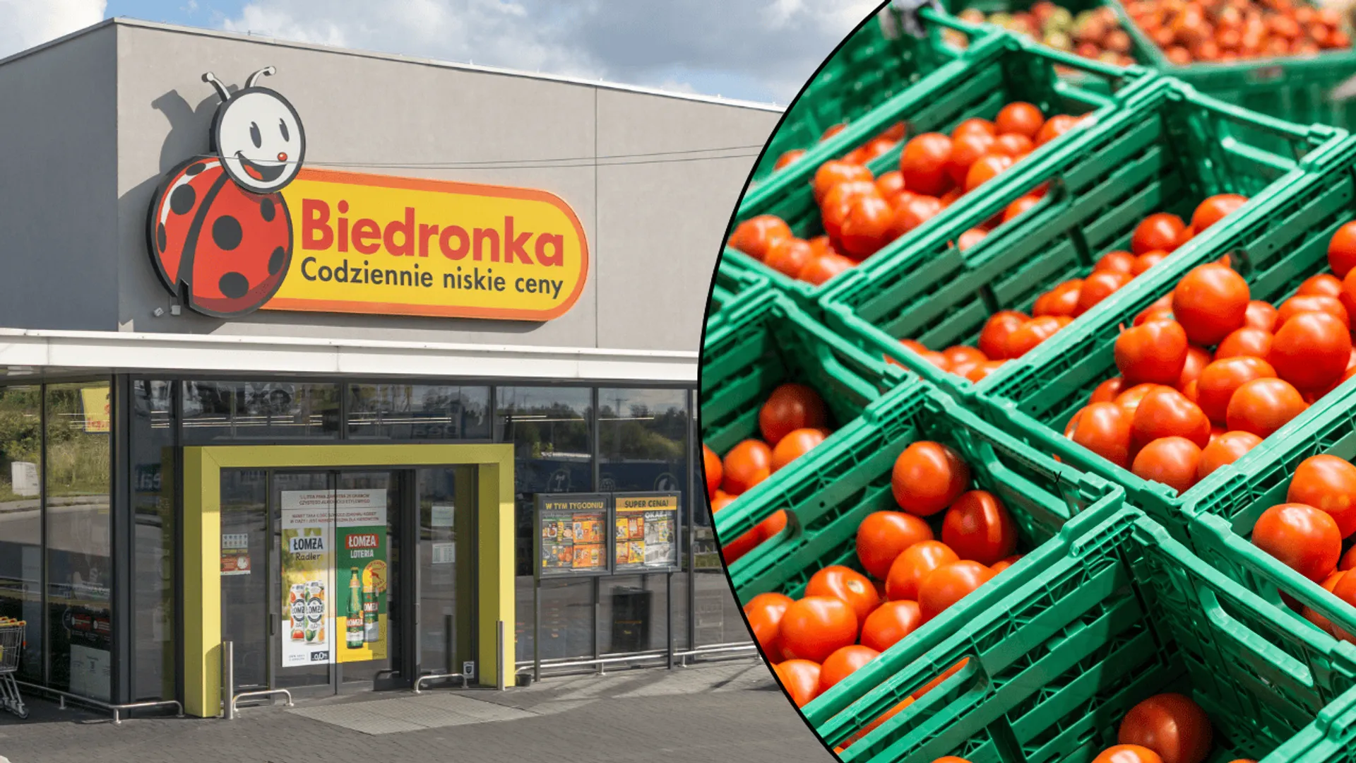 pomidory z biedronki - badania