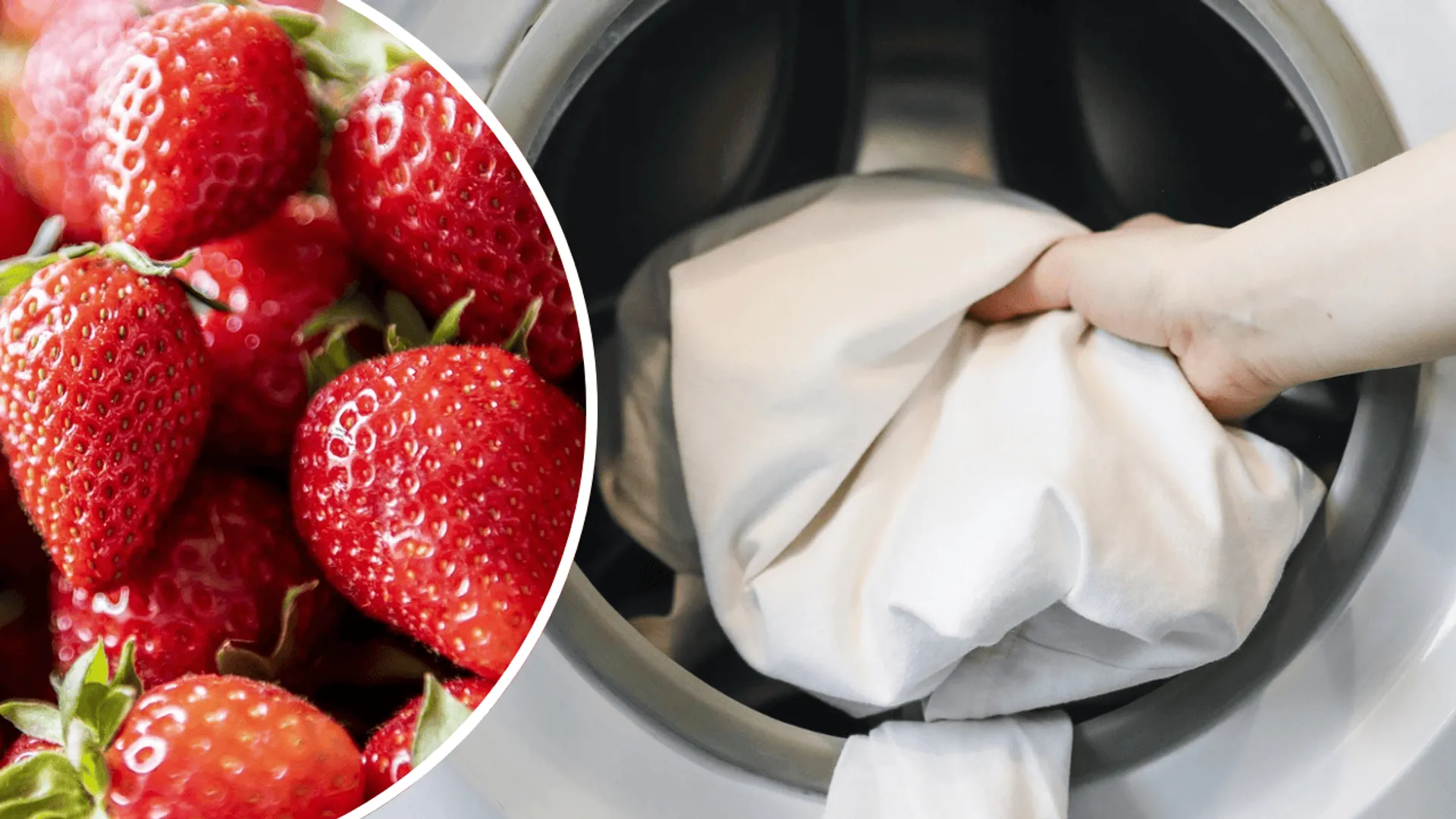 Pralka, pranie, truskawki