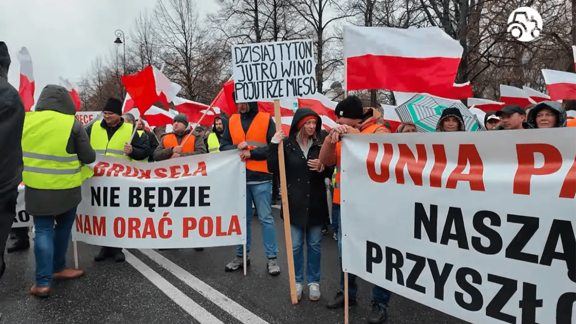 protest rolników, WHO