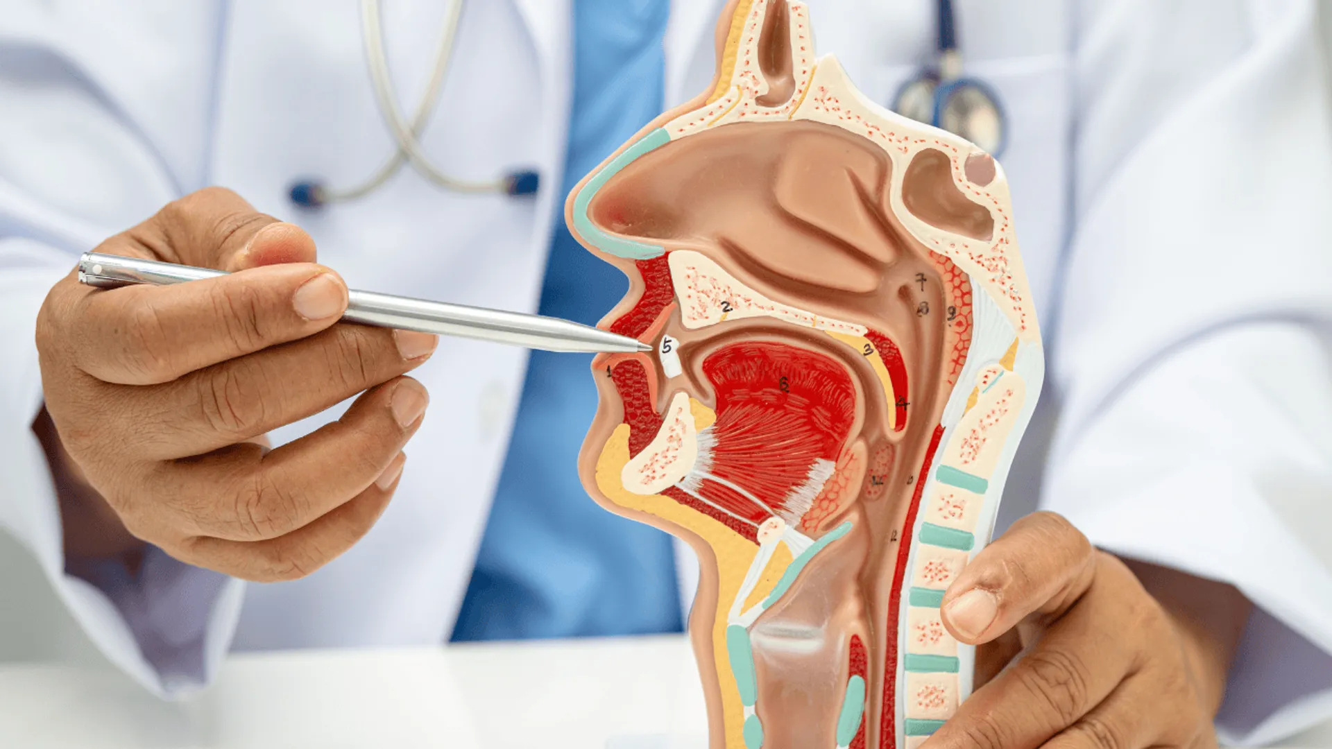 operacja przegrody nosowej