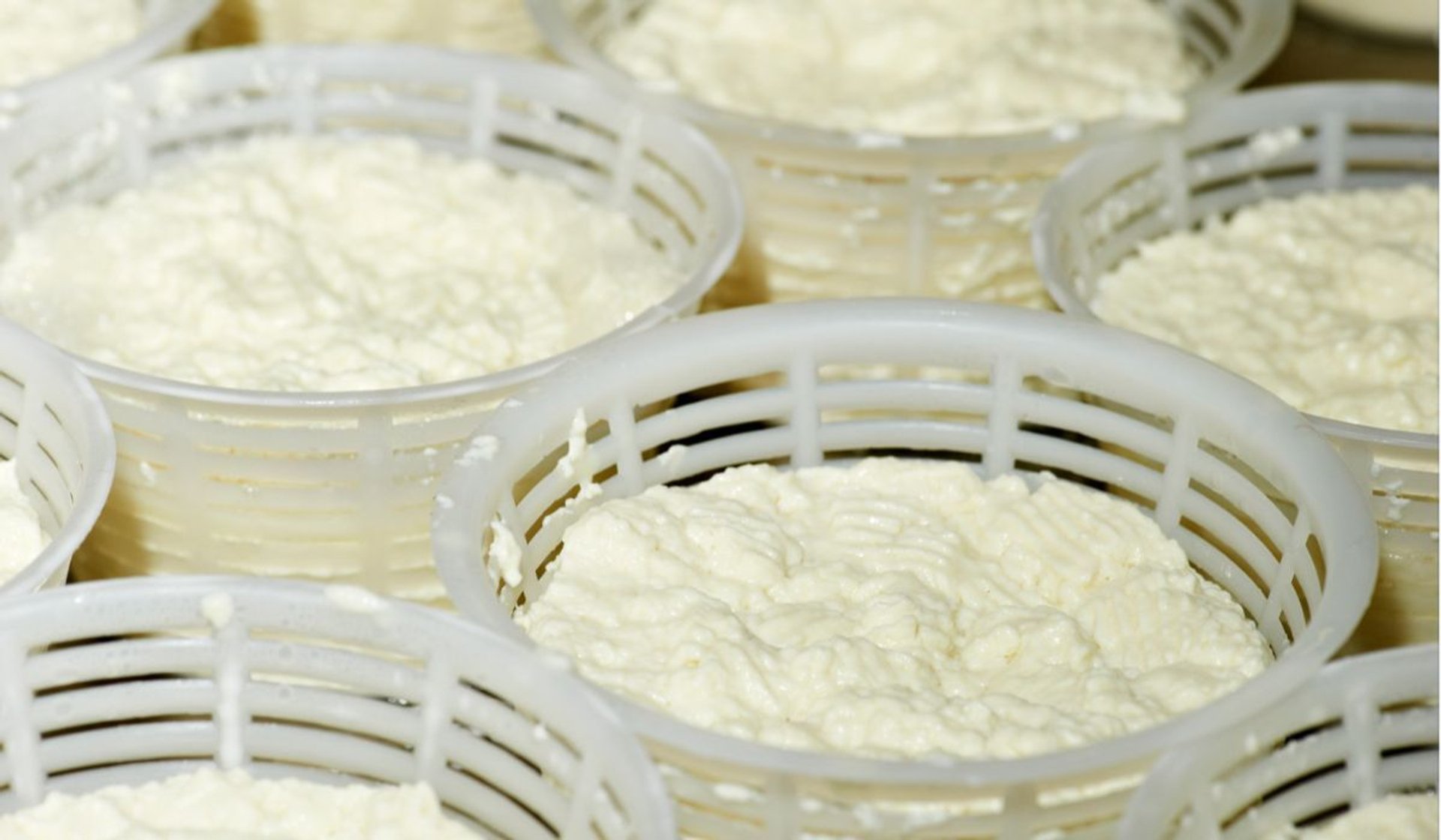 ricotta