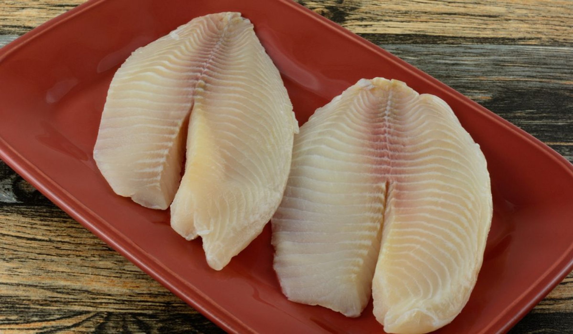 tilapia 