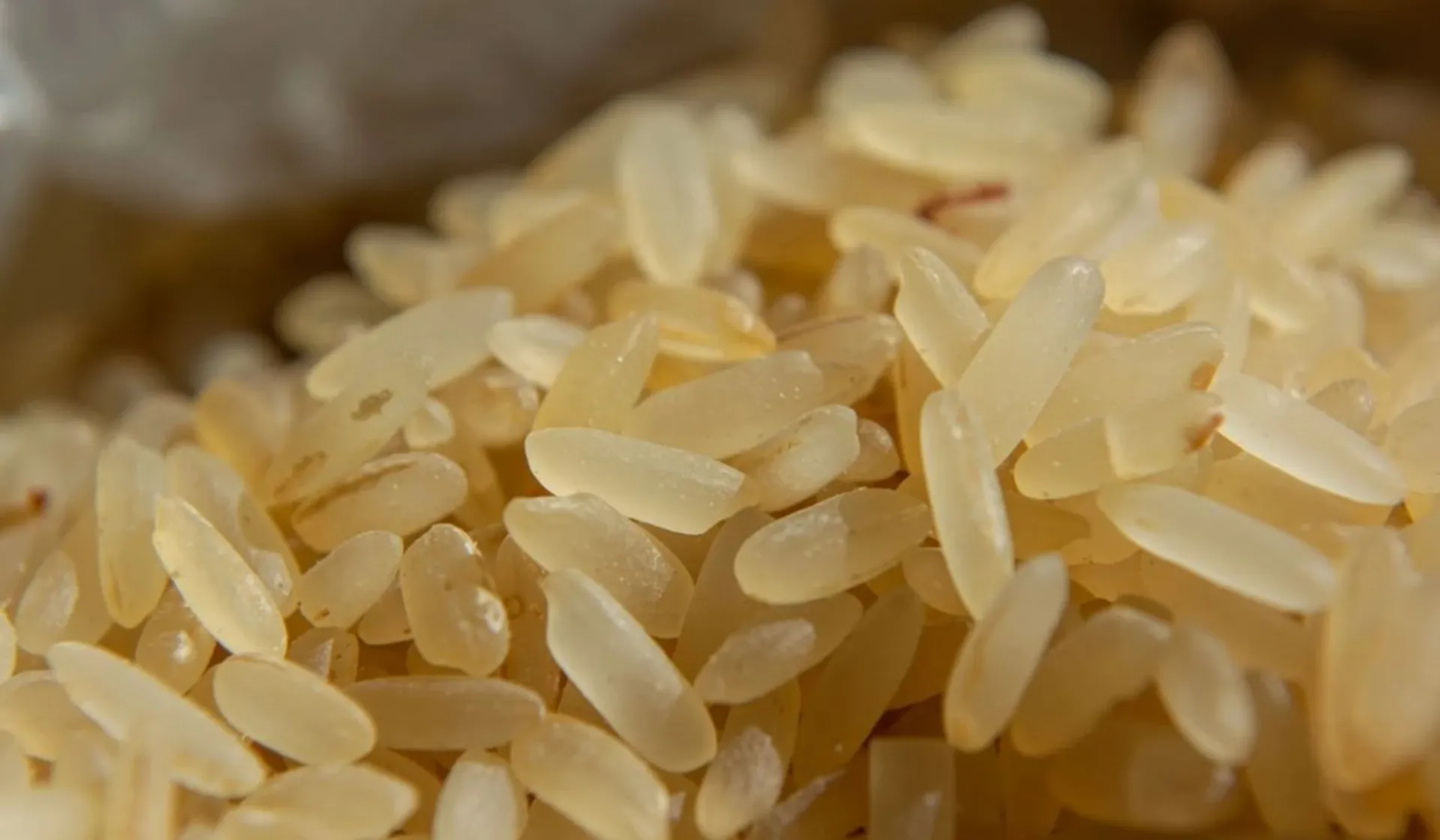 Obrzydliwe nagranie, znaleźli larwy w ryżu. Producent dał porażający komentarz