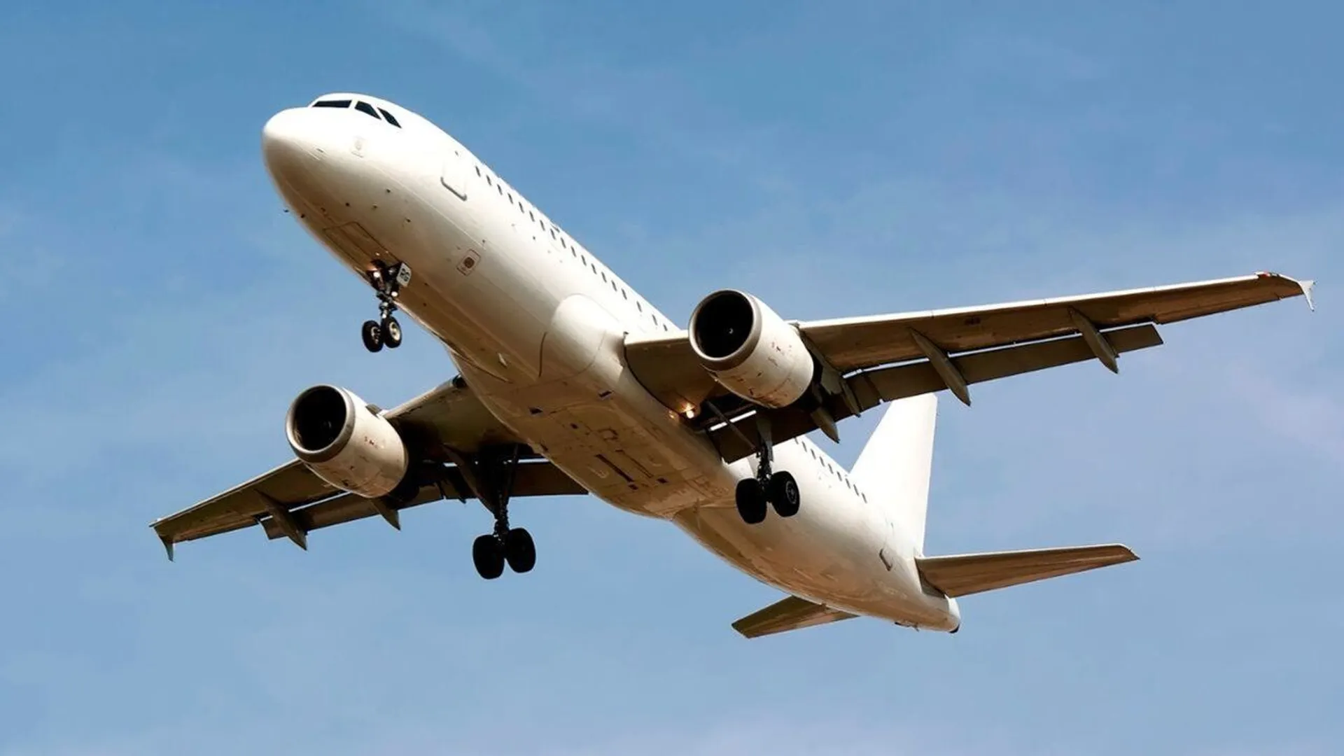 wizz air, linie lotnicze