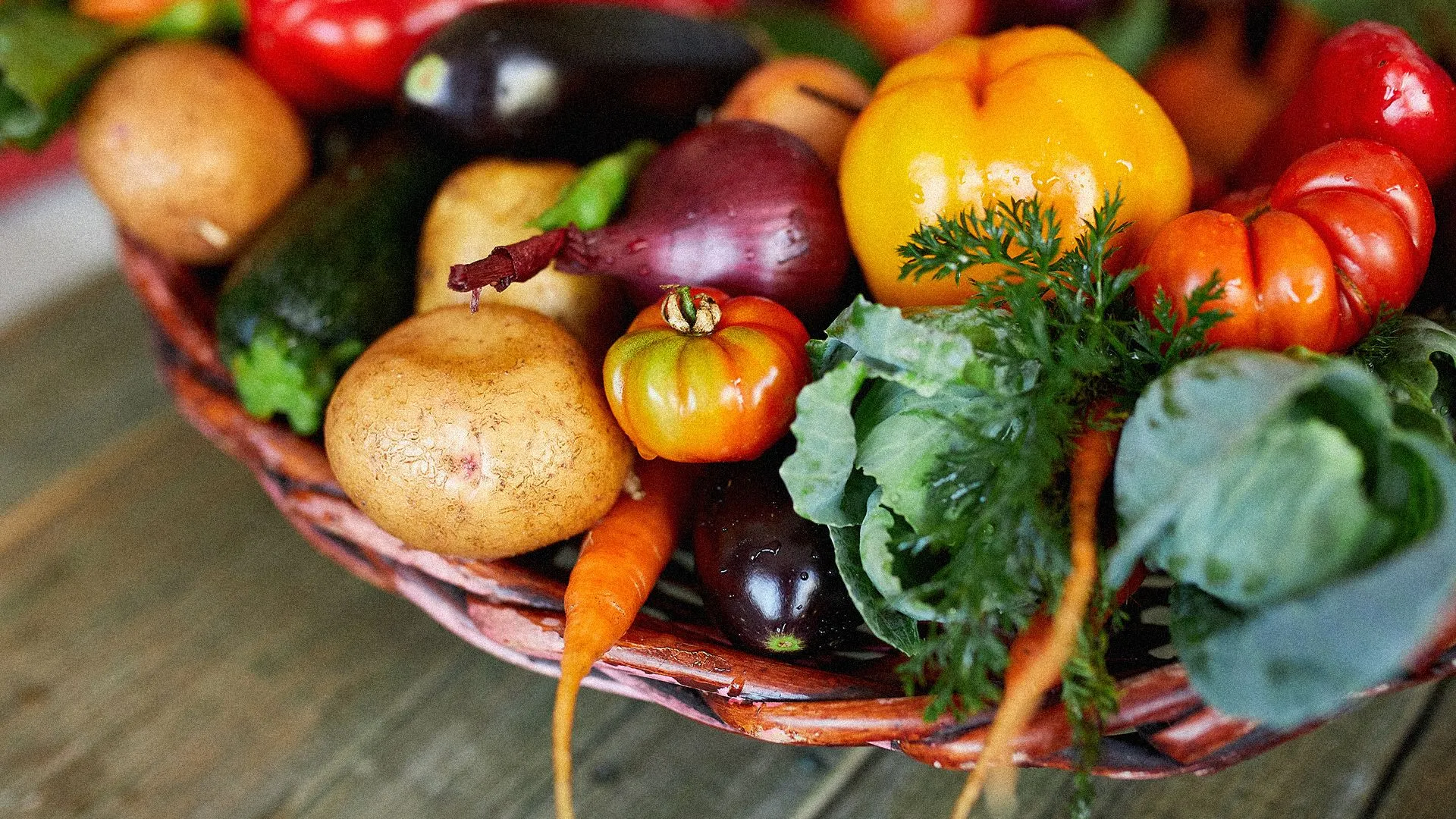 Sałata, pomidory i marchew pod lupą - jak rośliny gromadzą farmaceutyki