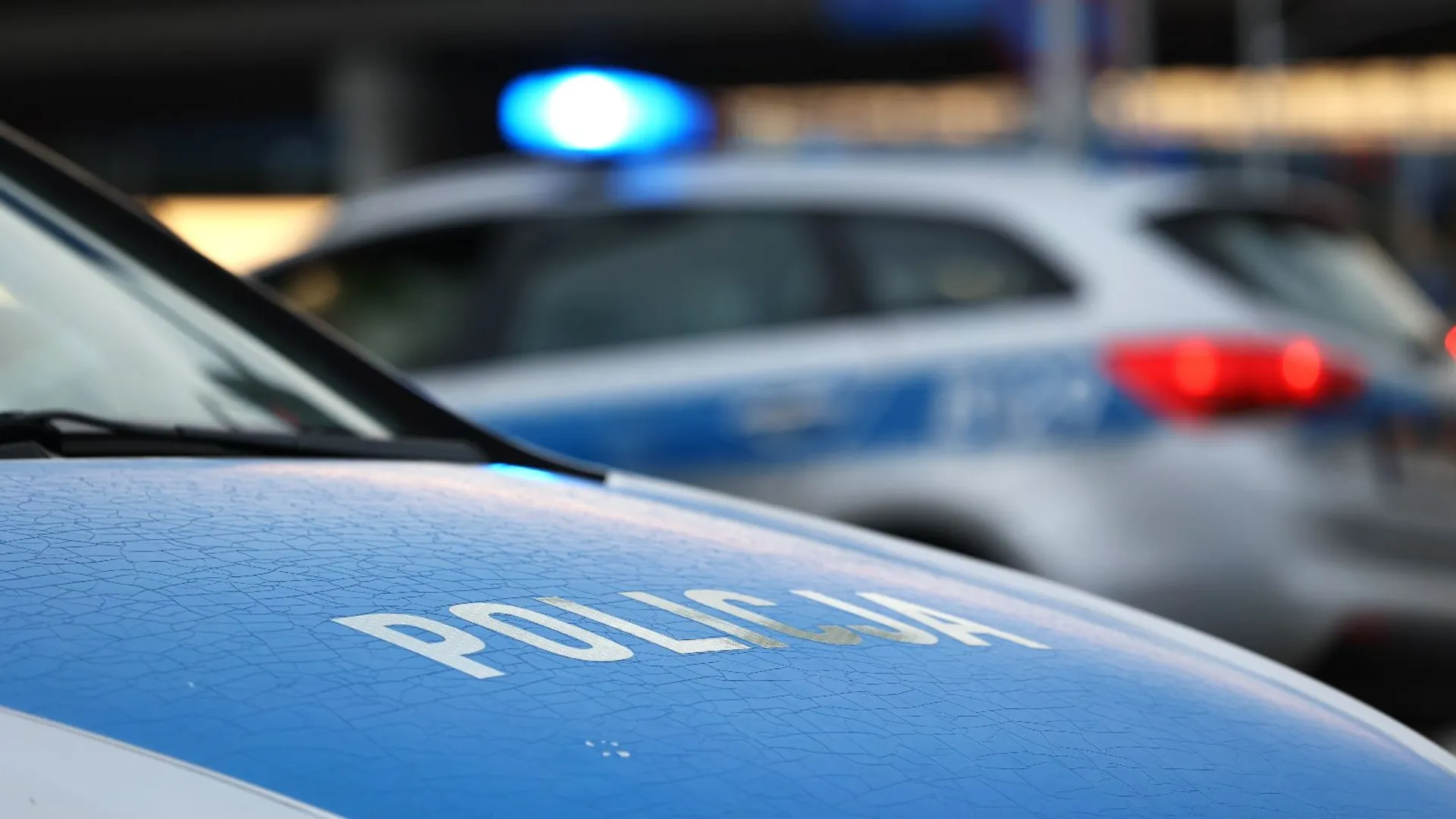 policja, zwłoki