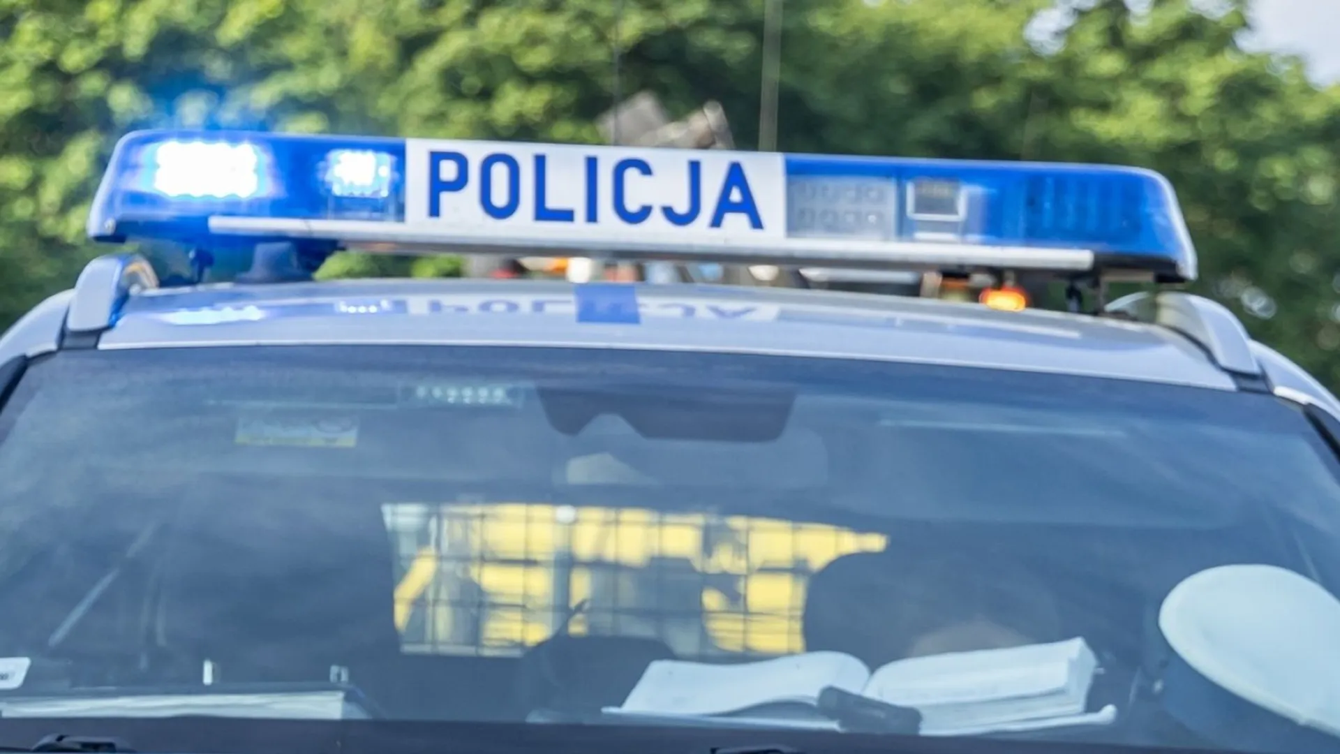 policja