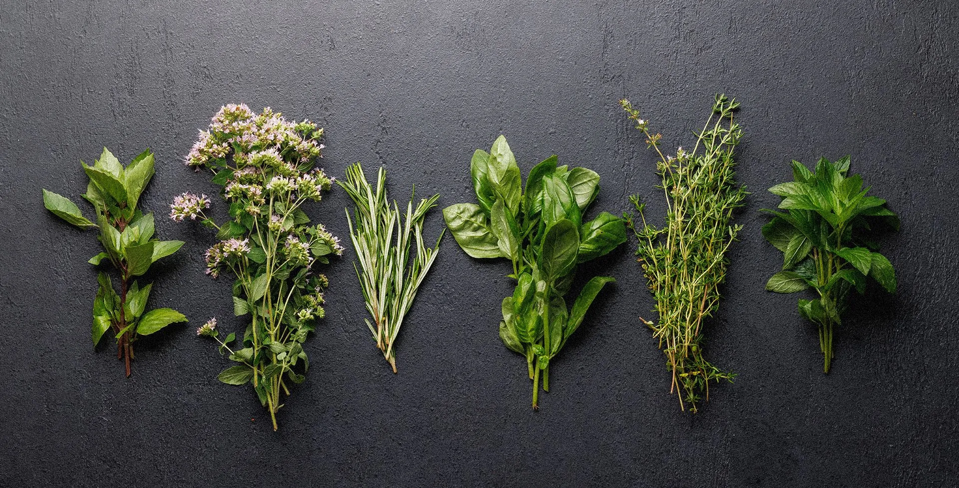 Cząber do mięsa - jak smakuje i do jakich potraw go dodawać