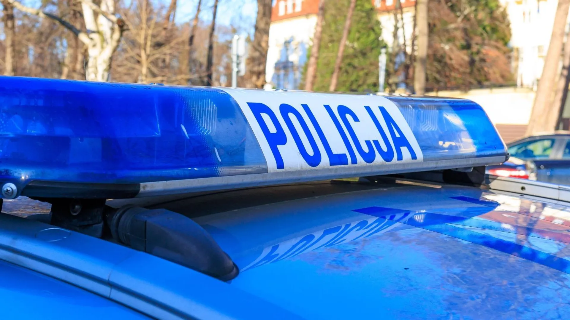 policja