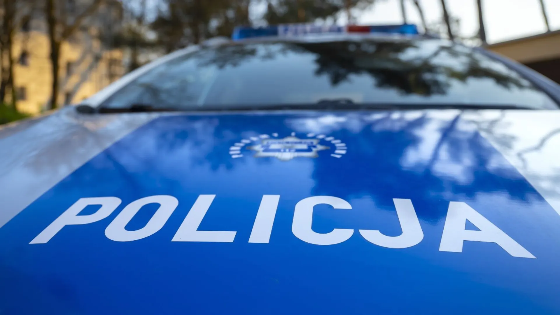 policja, pociąg