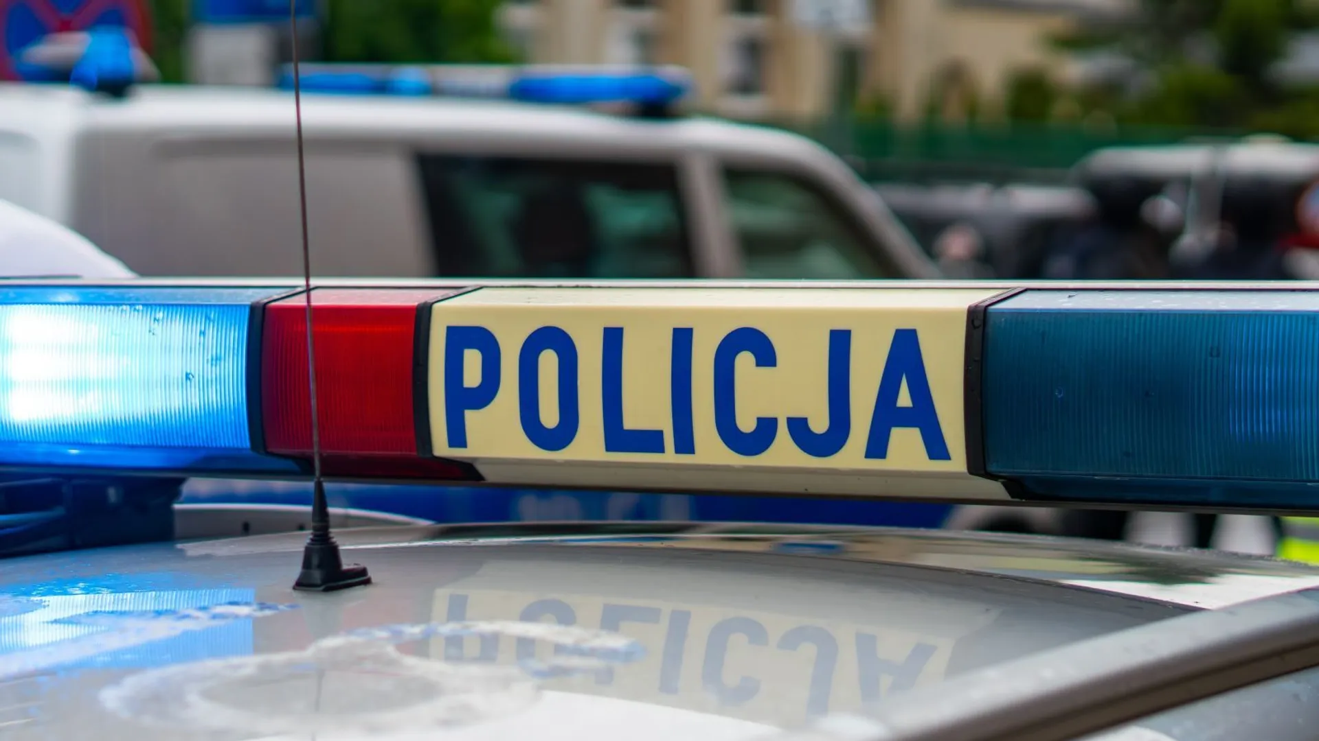 policja