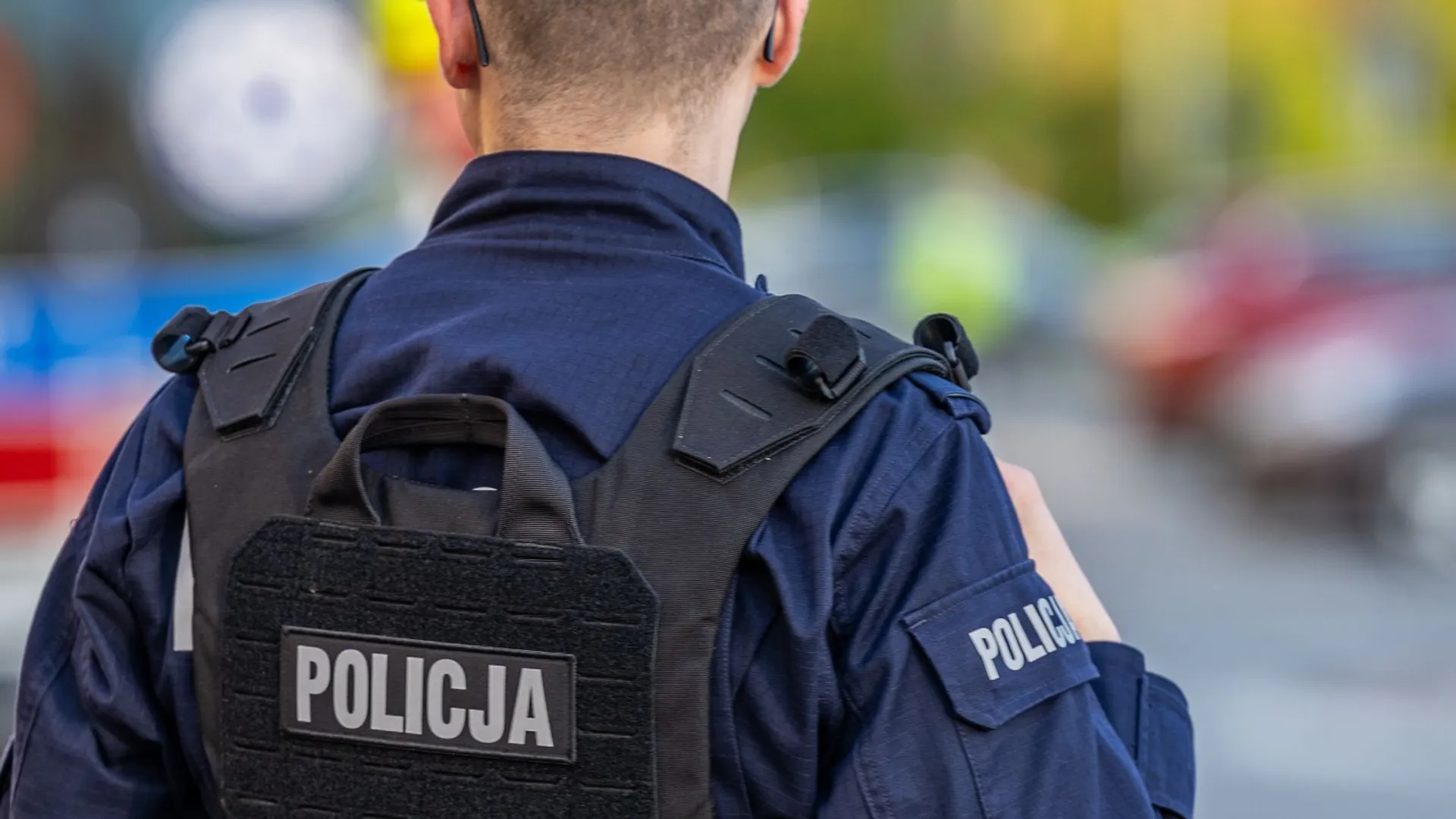 policja, pies