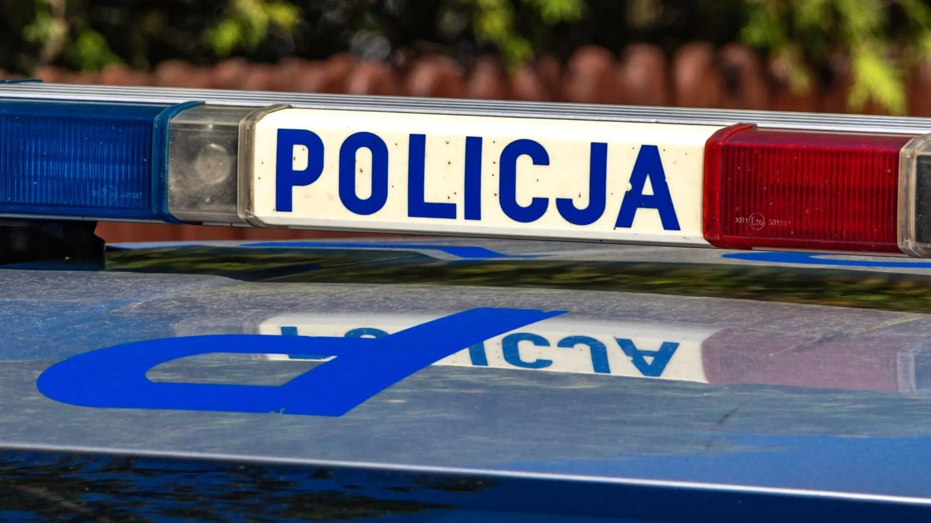 policja, zatrzymanie