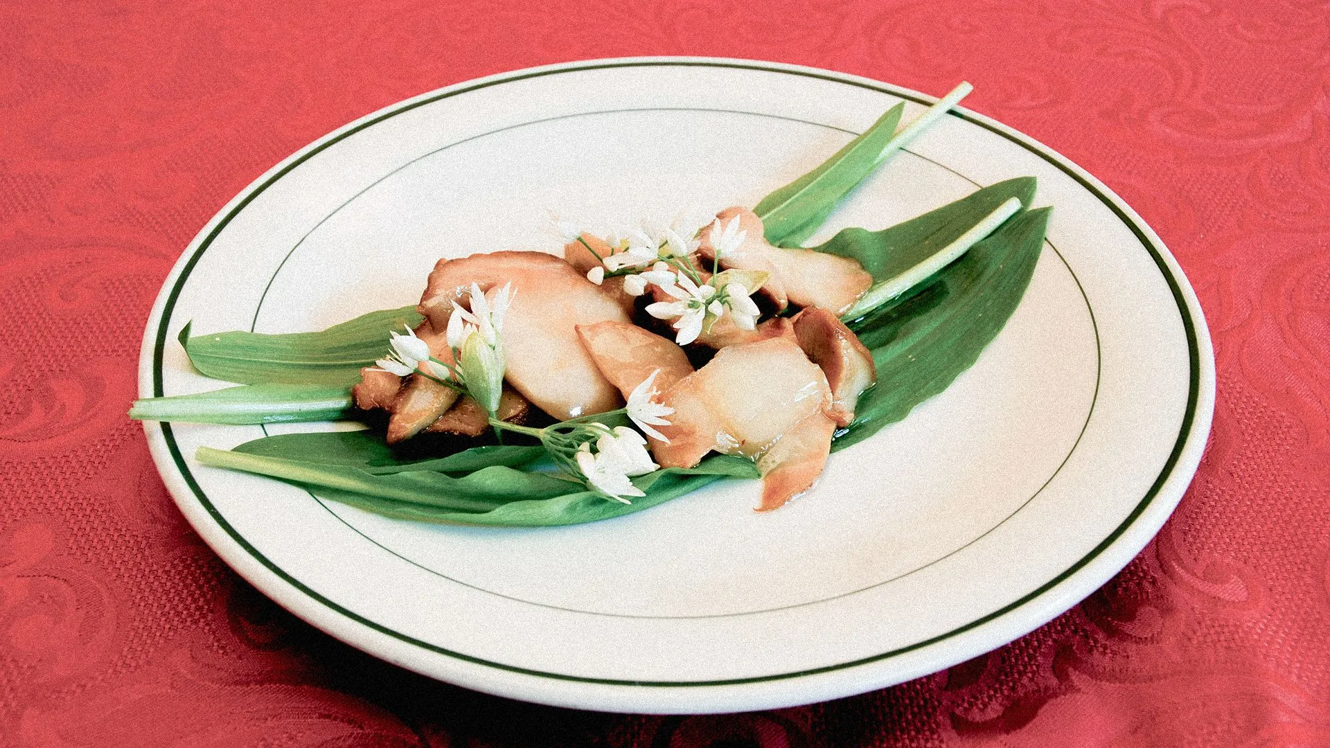 Czy czosnek niedźwiedzi jest zdrowy? Najważniejsze fakty i zastosowanie