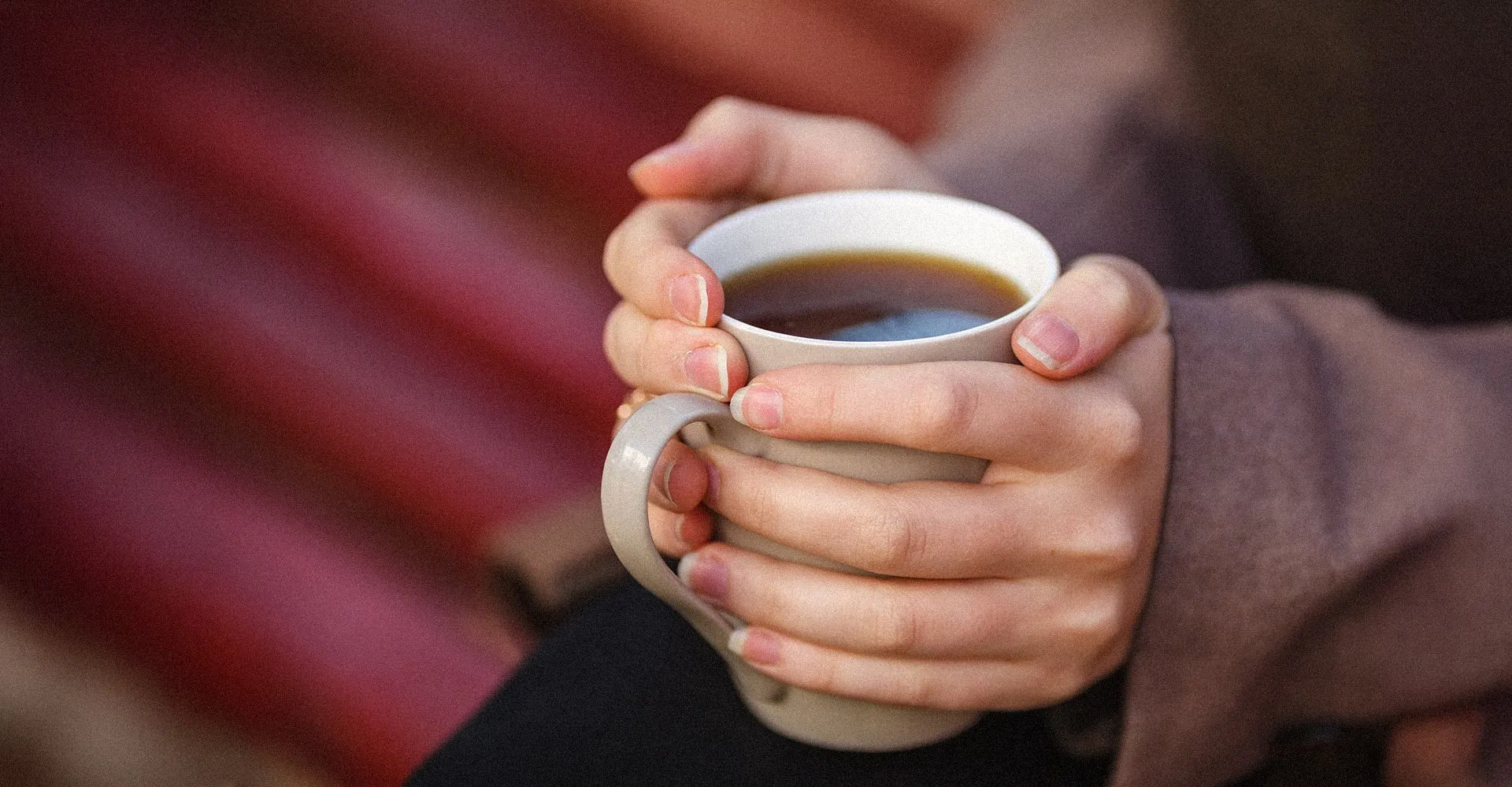 Napar z żywokostu a wątroba - co mówią eksperci i instytucje