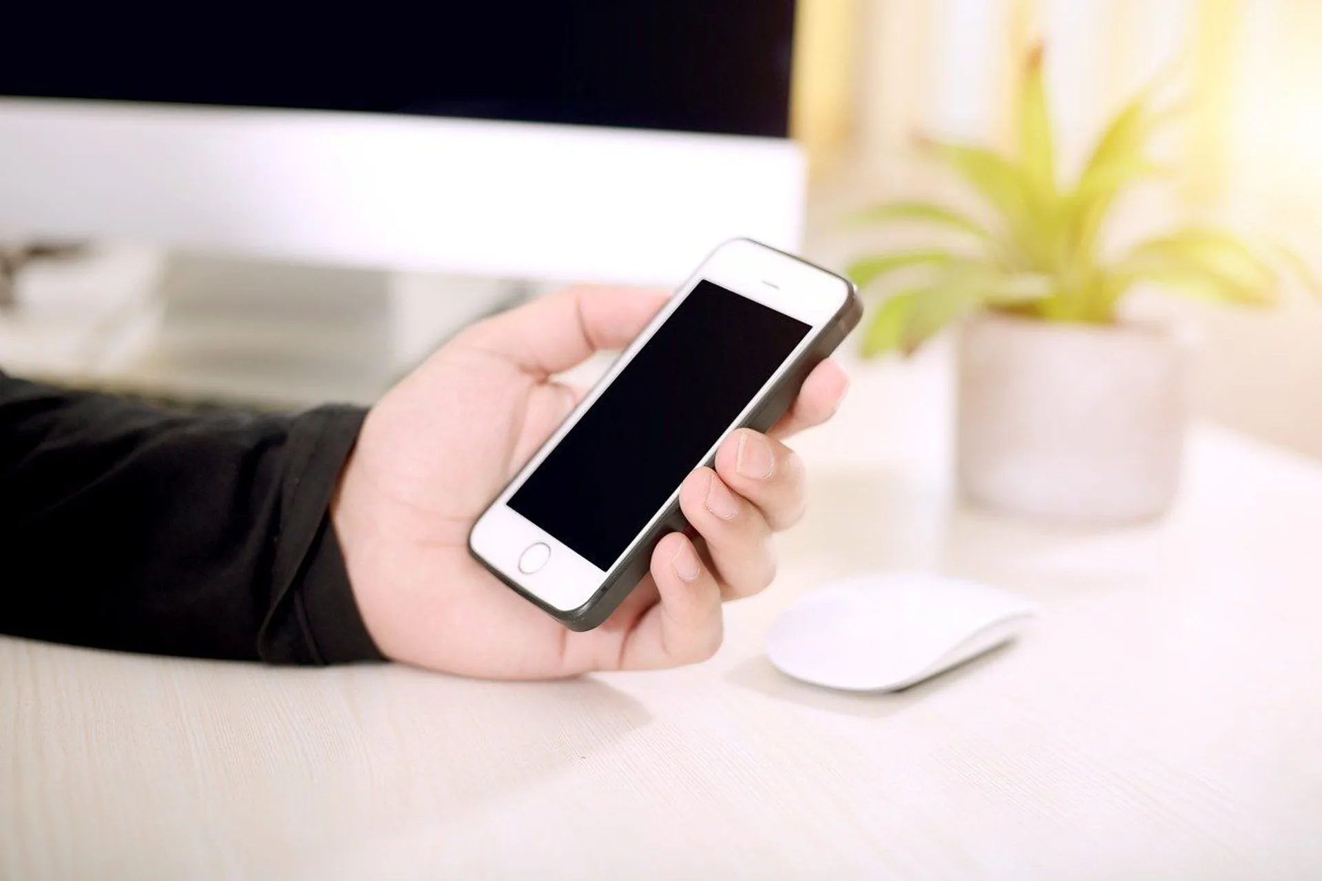 smartfon w ręku