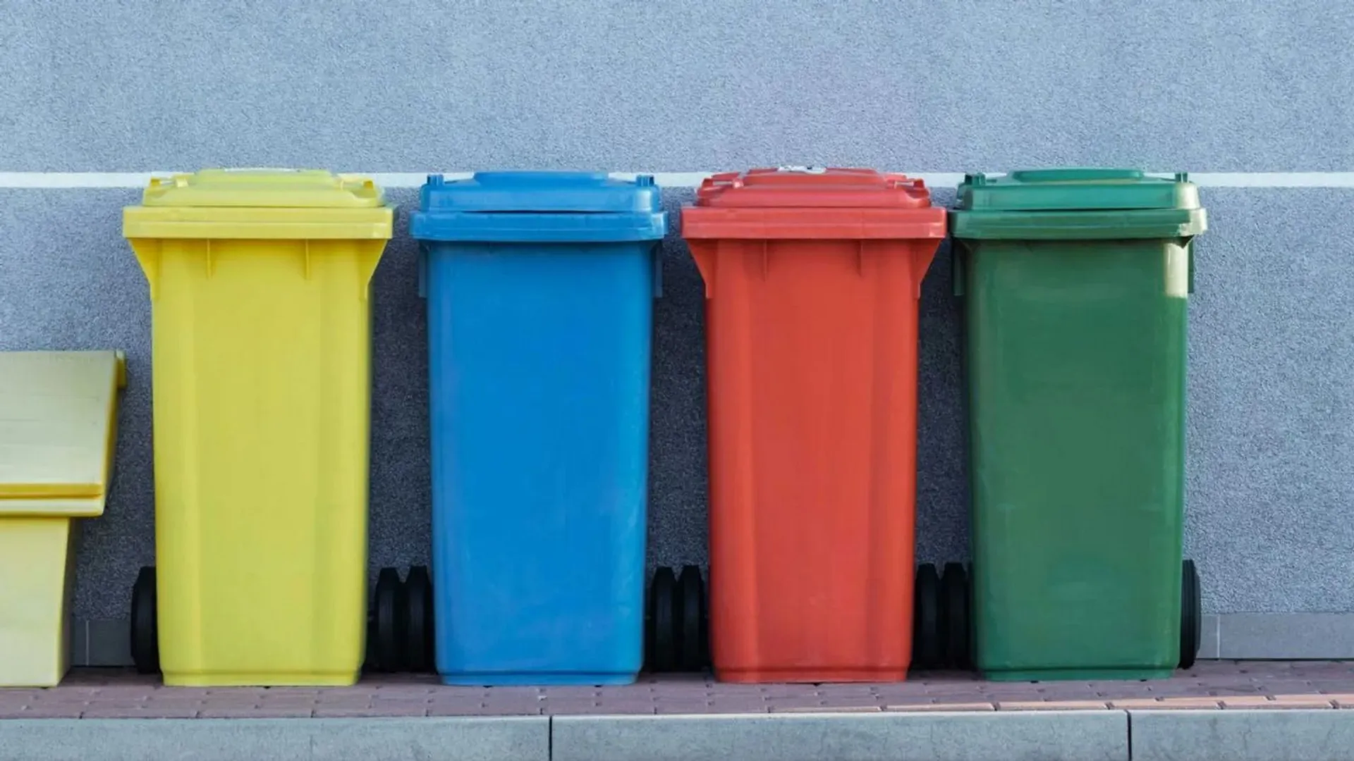 śmieci, segregacja śmieci