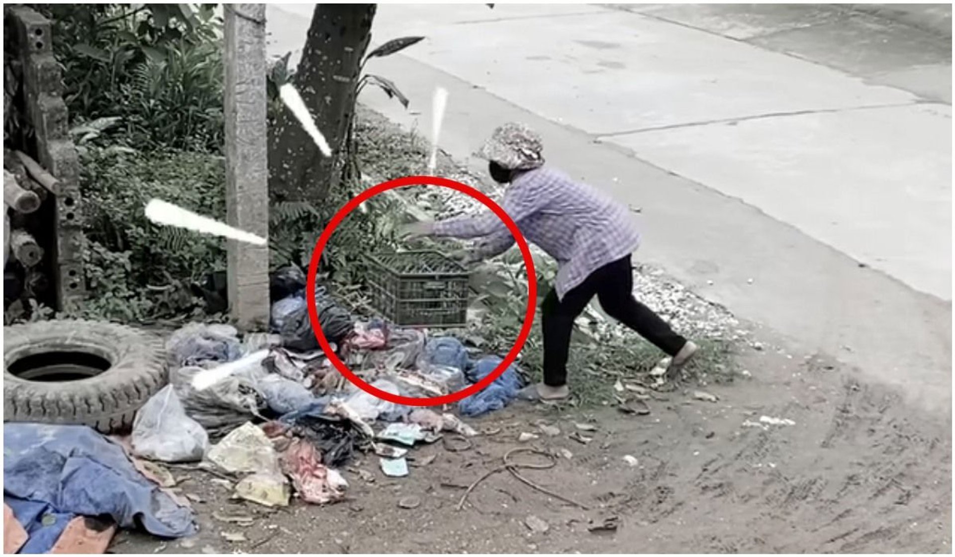 kobieta wyrzuca szczenię na śmietnik