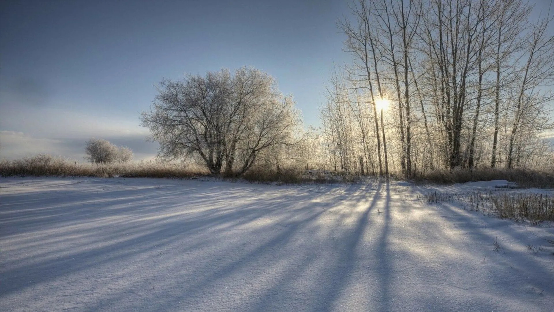 Park Narodowy, śnieg