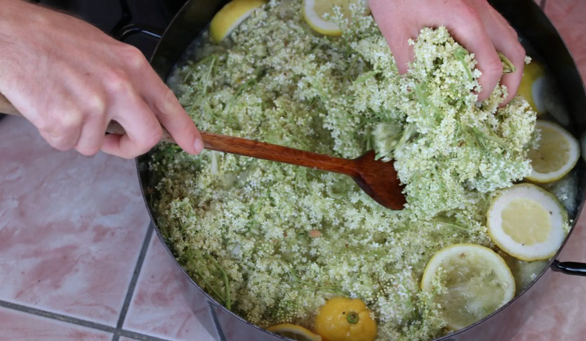 syrop z czarnego bzu