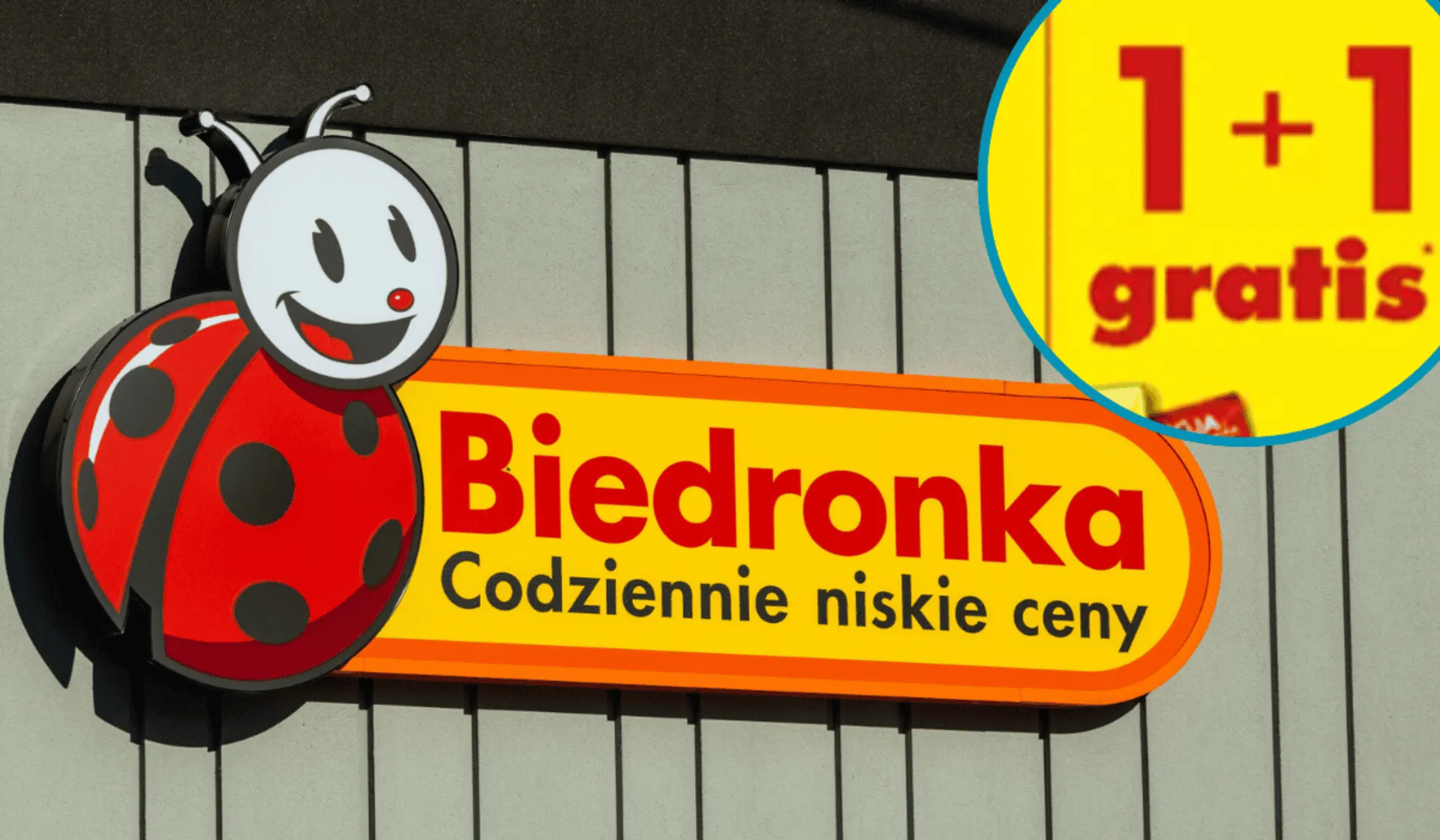 Biedronka