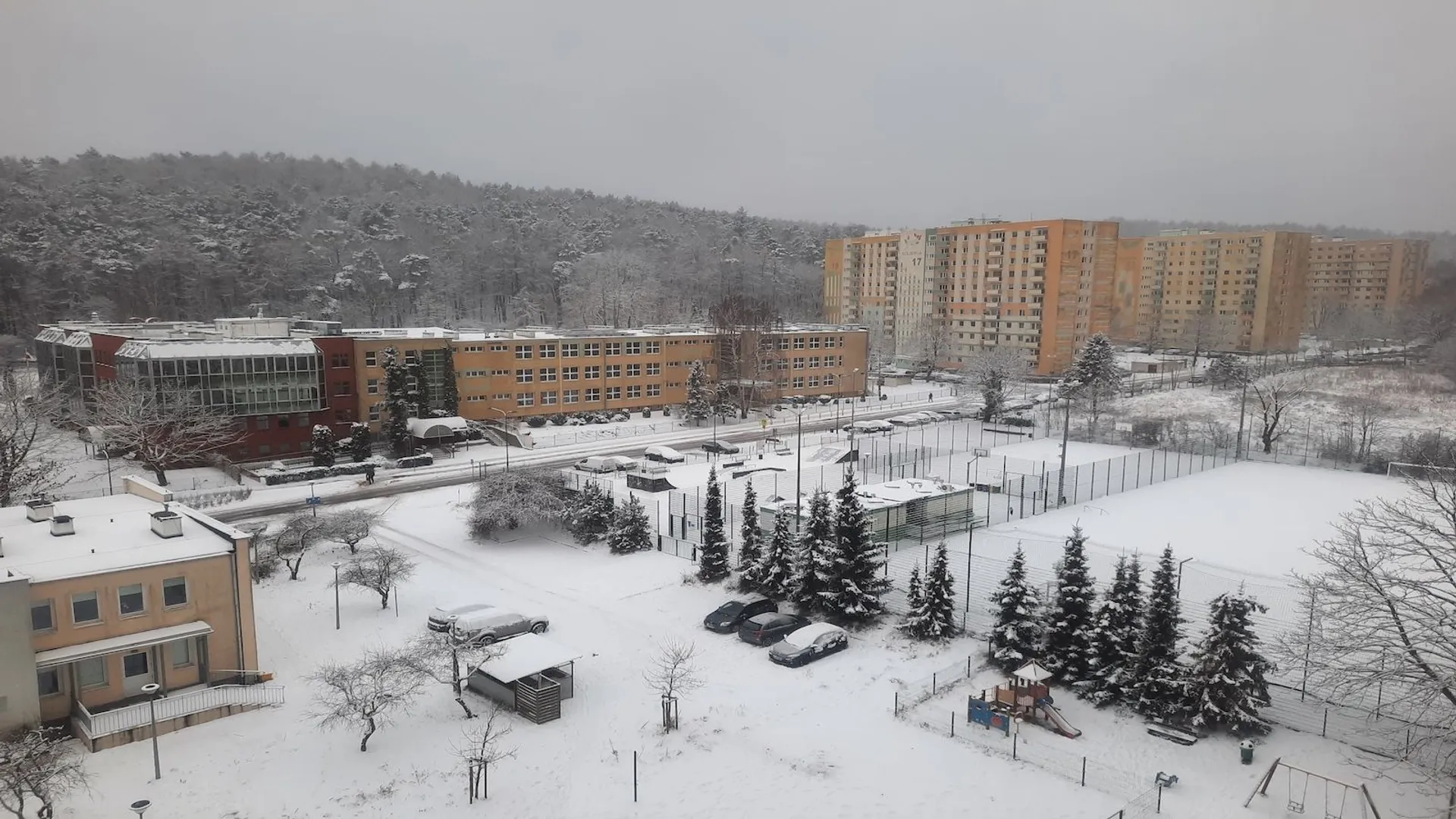 Zasady funkcjonowania szkół podczas mrozów: Zalecenia Ministerstwa Edukacji