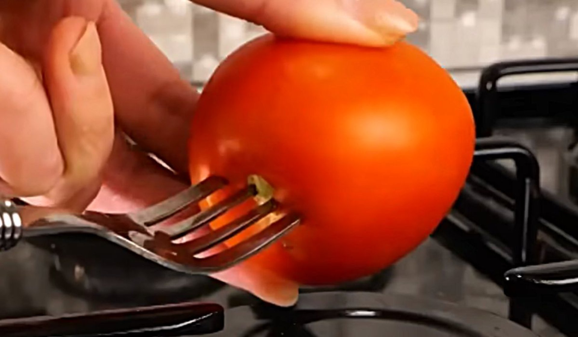 pomidor na widelcu
