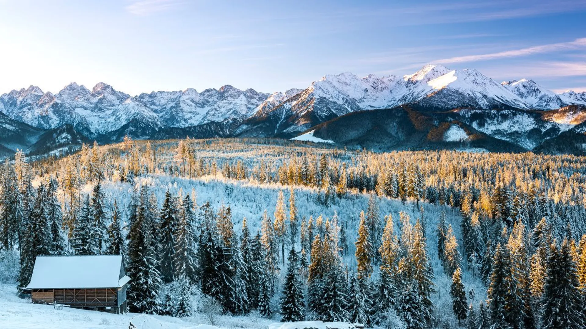 tatry mamidło górskie